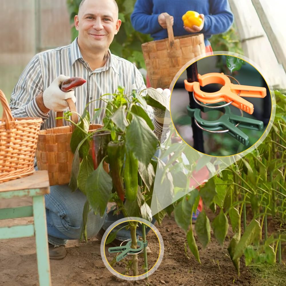 Pflanzenclips, 2025 Upgrade, Pflanzenstütz-Clips, wiederverwendbare Gartenclips, gesicherte Kunststoff-Pflanzenclips, Tomaten-Spalier-Clips, Pflanzenranken-Befestigungsclips für Kletterpflanzen