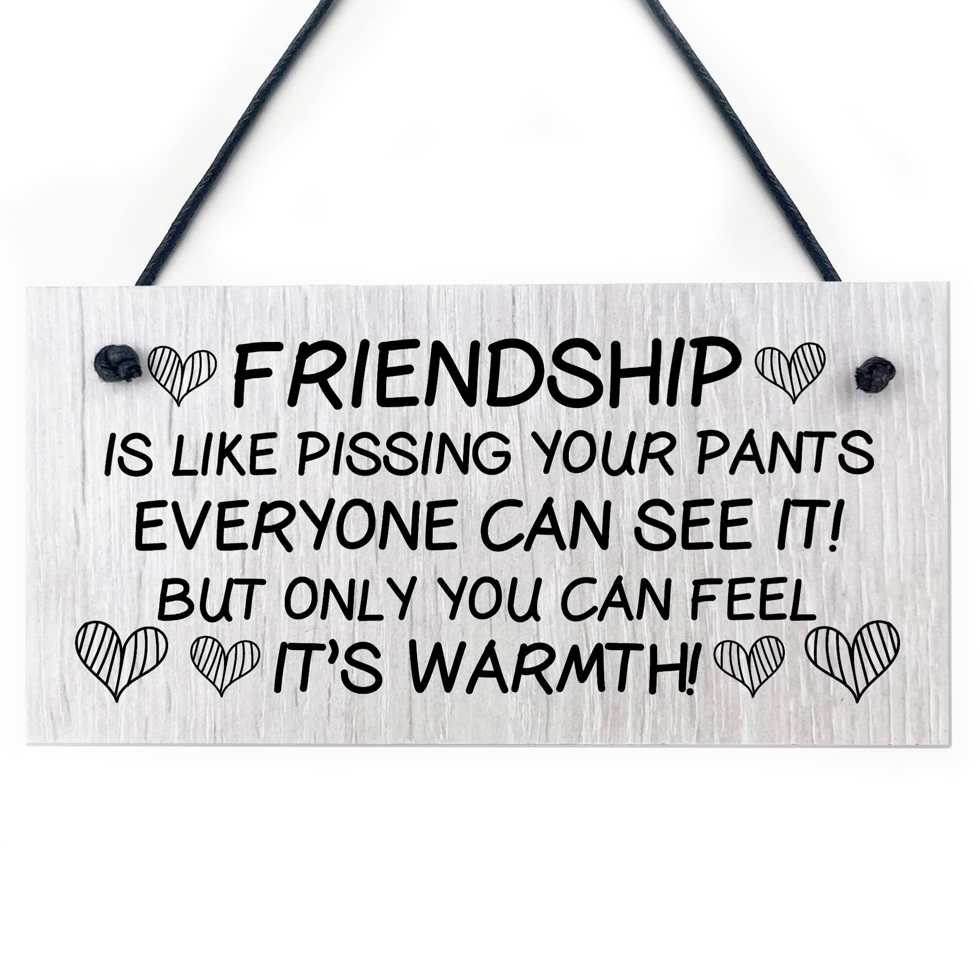 RED OCEAN Friendship Gift Wood Sign Funny Best Friend Sign Gift For Women Him Her Thank You Gifts