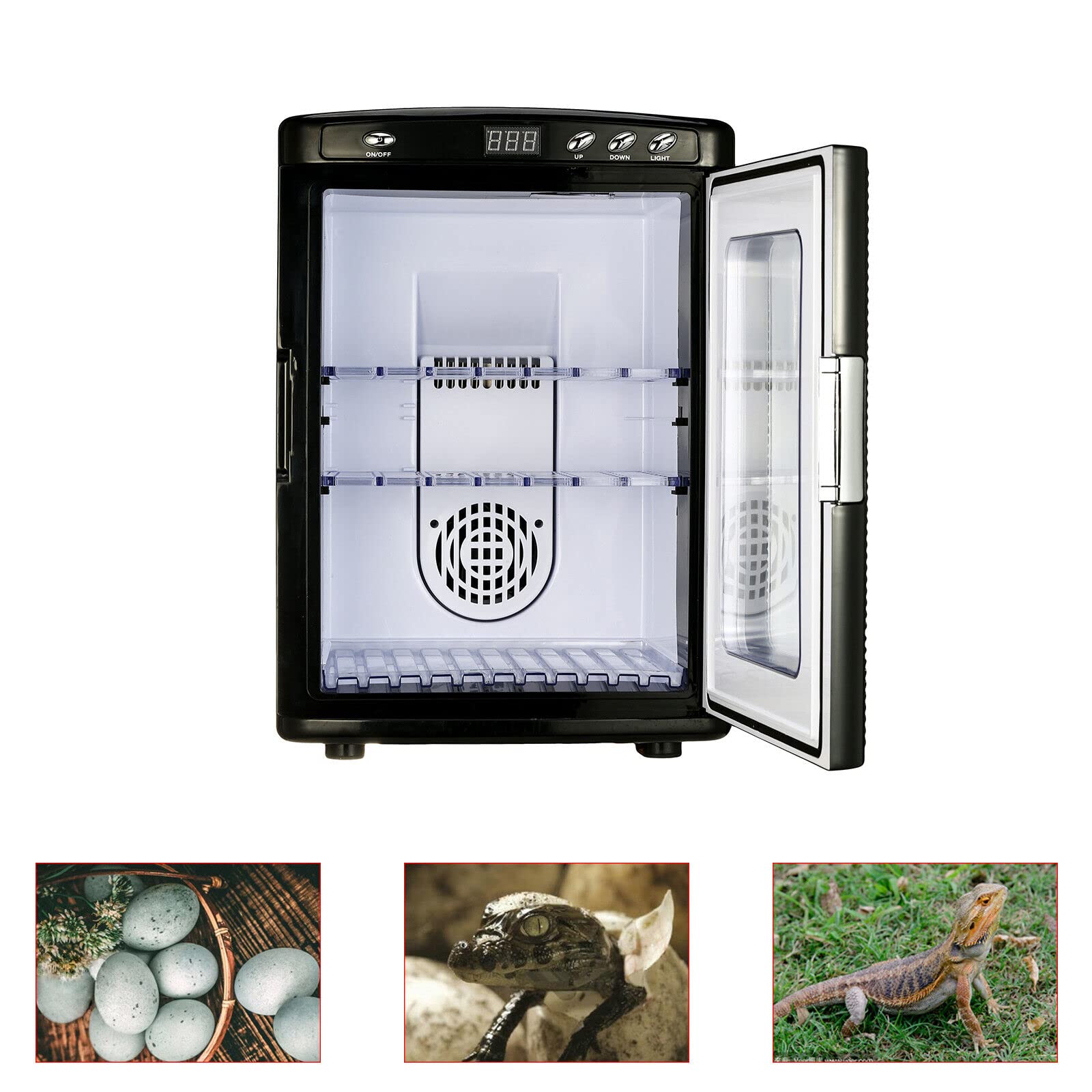 Reptile Incubator 25L, Scientific Lab Incubator Kühlen und Heizen, 5-60 °C 12V /220V Arbeit für kleine Reptilien (Schwarz)