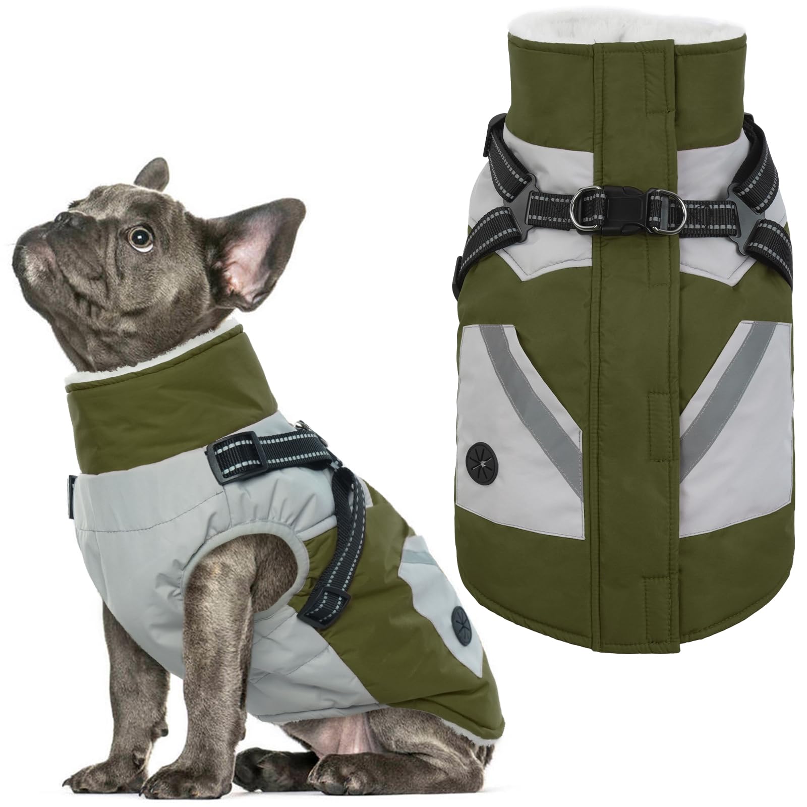 IECOii Dog Winter Coat Waterproof - Green, Medium - Dog Coat with Harness Built in for Medium Dogs, Thermal Warm Fleece Lined with Zip Up Cold Weather Jacket, Reflective Snowsuit for Outdoor Hiking