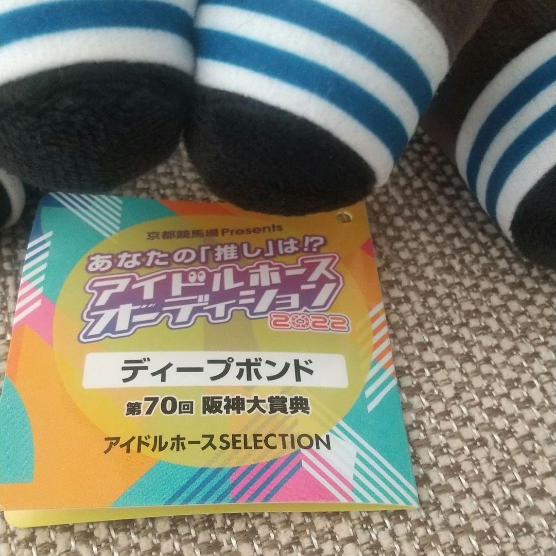 アイドルホース 2022 ディープボンド アイドルホースオーディション 2022 ノースヒルズ on X: 