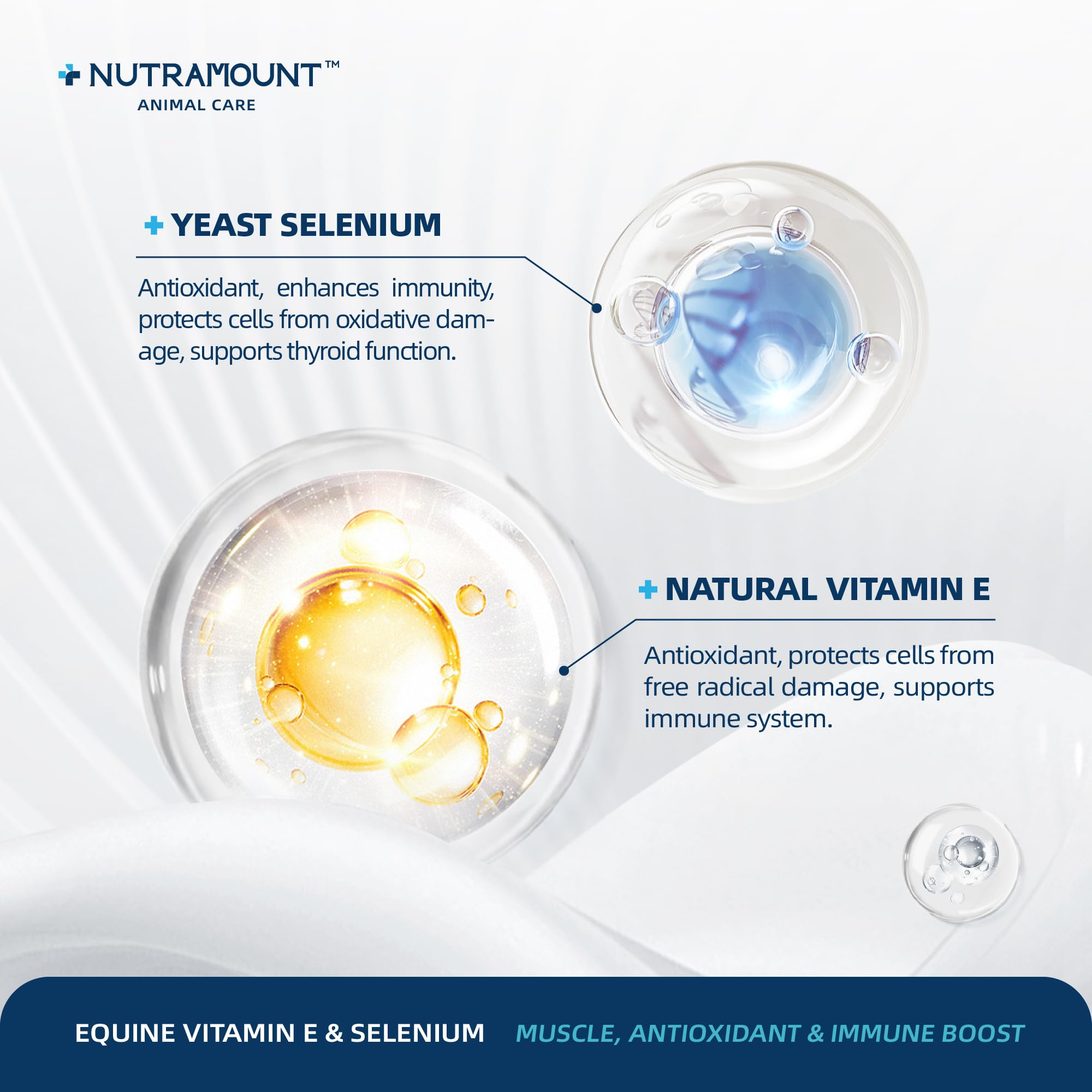 Horse Vitamin E & Selenium Supplement Powder – Natural Vitamin E 24% & Yeast Selenium – Daily Equine Antioxidant & Muscle Support – 100 Day Supply — Amazon image 6