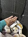 Review Image by Kaylee Nelson