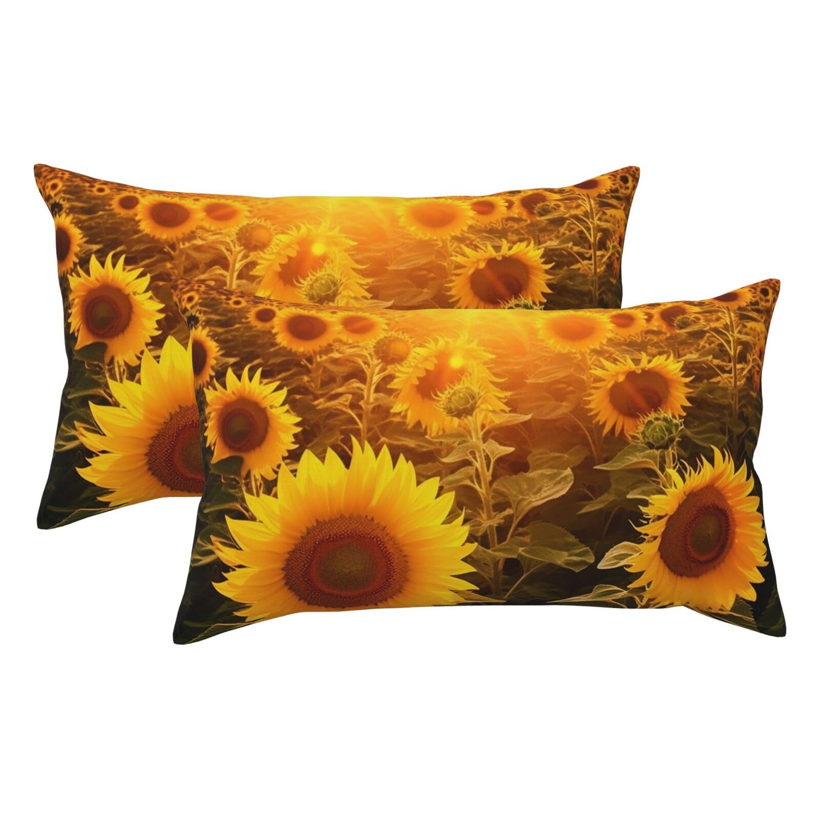 2 Pack King Pillow Cases with Hidden Zipper, Soft Breathable Pillow Covers for Hair and Skin, Sunshine Sunflower Field Pillowcases 20"x36" Bed Pillow Protectors Cover for Sleeping Gifts
