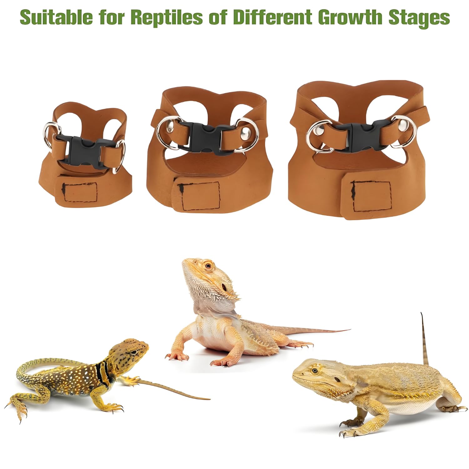 3 Pièces Cochon d'Inde Harnais, Ajustable Dragon Barbu Harnais Laisse, Laisse Réglable Lézard, Ensemble Dragon Barbu, pour Reptiles, Lézards Et Caméléons (Noir)