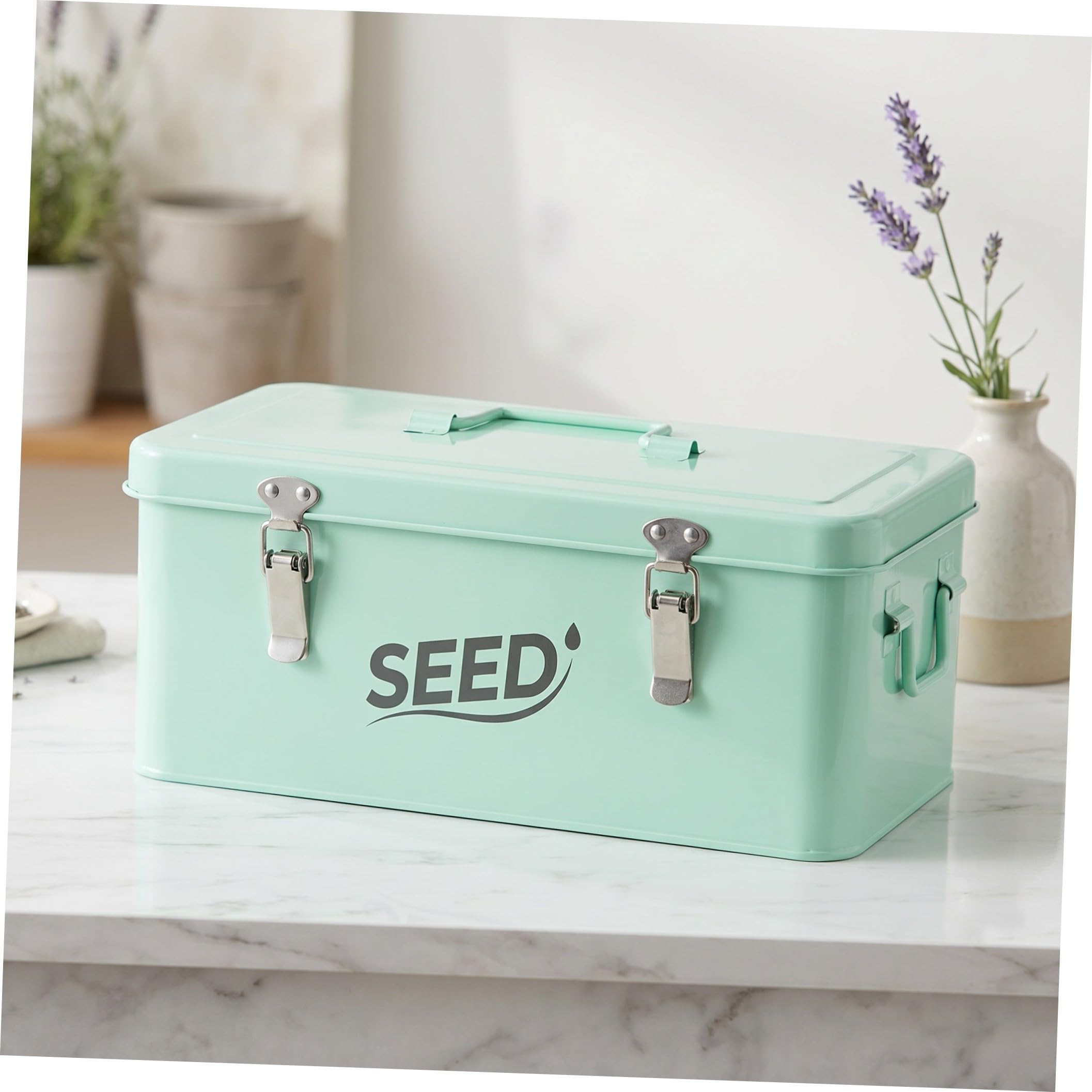 TOYANDONA Samenaufbewahrungsbox aus Eisen mit Klappdeckel und Schloss