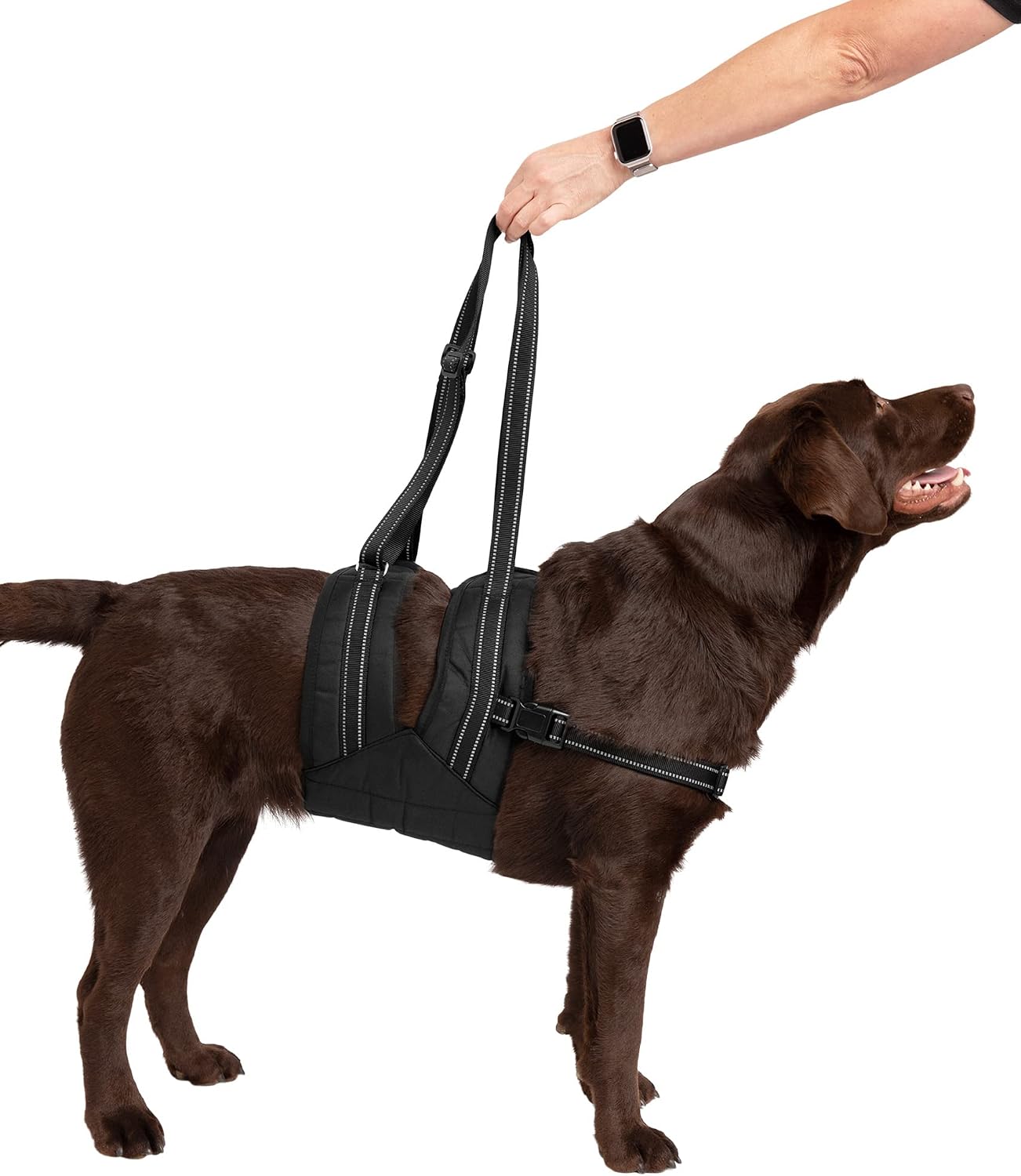 Labra Veterinarian Approved Dog Canine K9 Sling Assist with Chest Strap Adjustable Reflective Straps Support Harness Helps with Loss of Stability Joint Injuries Arthritis ACL Rehabilitation Rehab