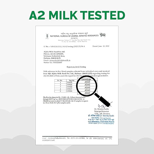 Miniatura 5 de Auric A2 Desi Cow Ghee  Mantequilla clarificada  Brijwasi Ghee puro  Cuajada Bilona batida  Probado en laboratorio  Aroma perfecto y Ghee Danedar