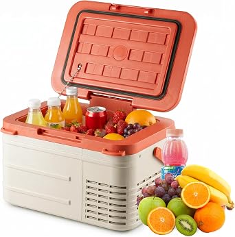 Erivess 12v Refrigerator,4F-68F, 11 Quart Electric Cooler for Car