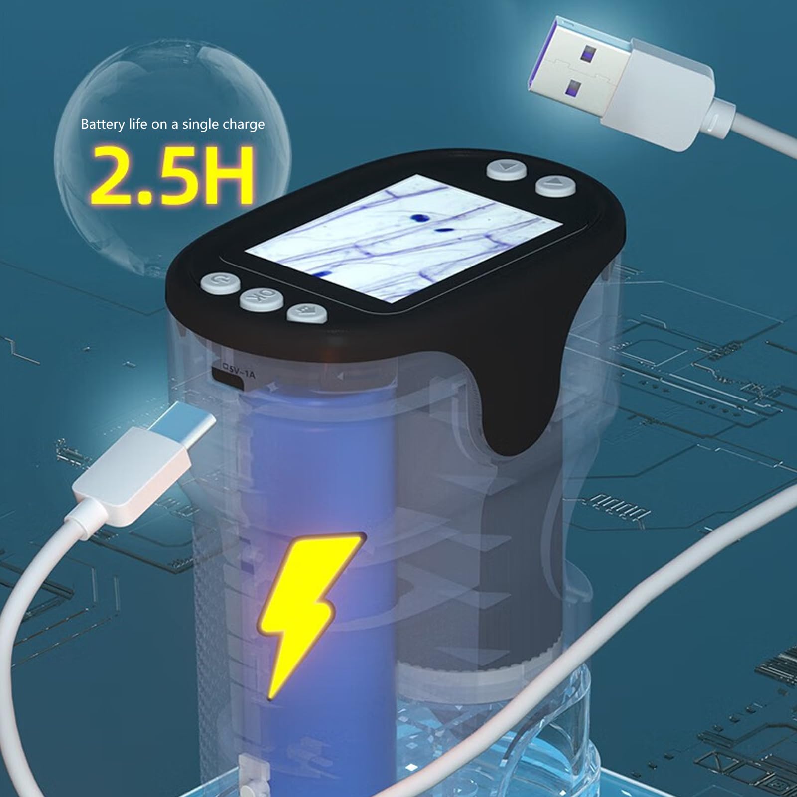 Hand Digitalmikroskop mit LCD Bildschirm, tragbare Kamera mit Trageband für Kinder und Erwachsene, langlebiges, batteriebetriebenes Hand Digitalmikroskop
