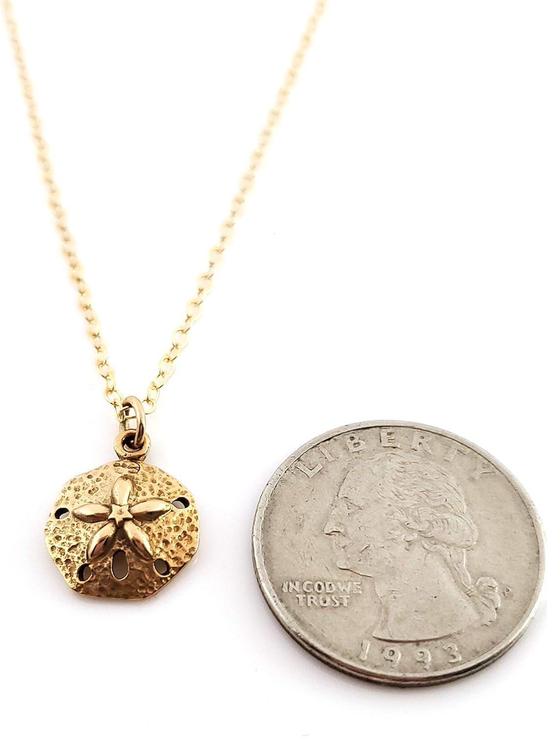 Sand Dollar Necklace – 14K Gold Filled Chain, Handmade Beach Jewelry - Image 3