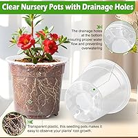 Vista 3 de Macetas de vivero transparentes de 6 pulgadas con cúpula de humedad, paquete de 30, maceta reutilizable para semillas con agujeros de drenaje