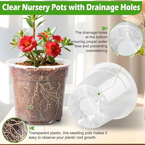 Miniatura 3 de Macetas transparentes de 6 pulgadas con cúpula de humedad, paquete de 30 macetas reutilizables con agujeros de drenaje, macetas de plástico