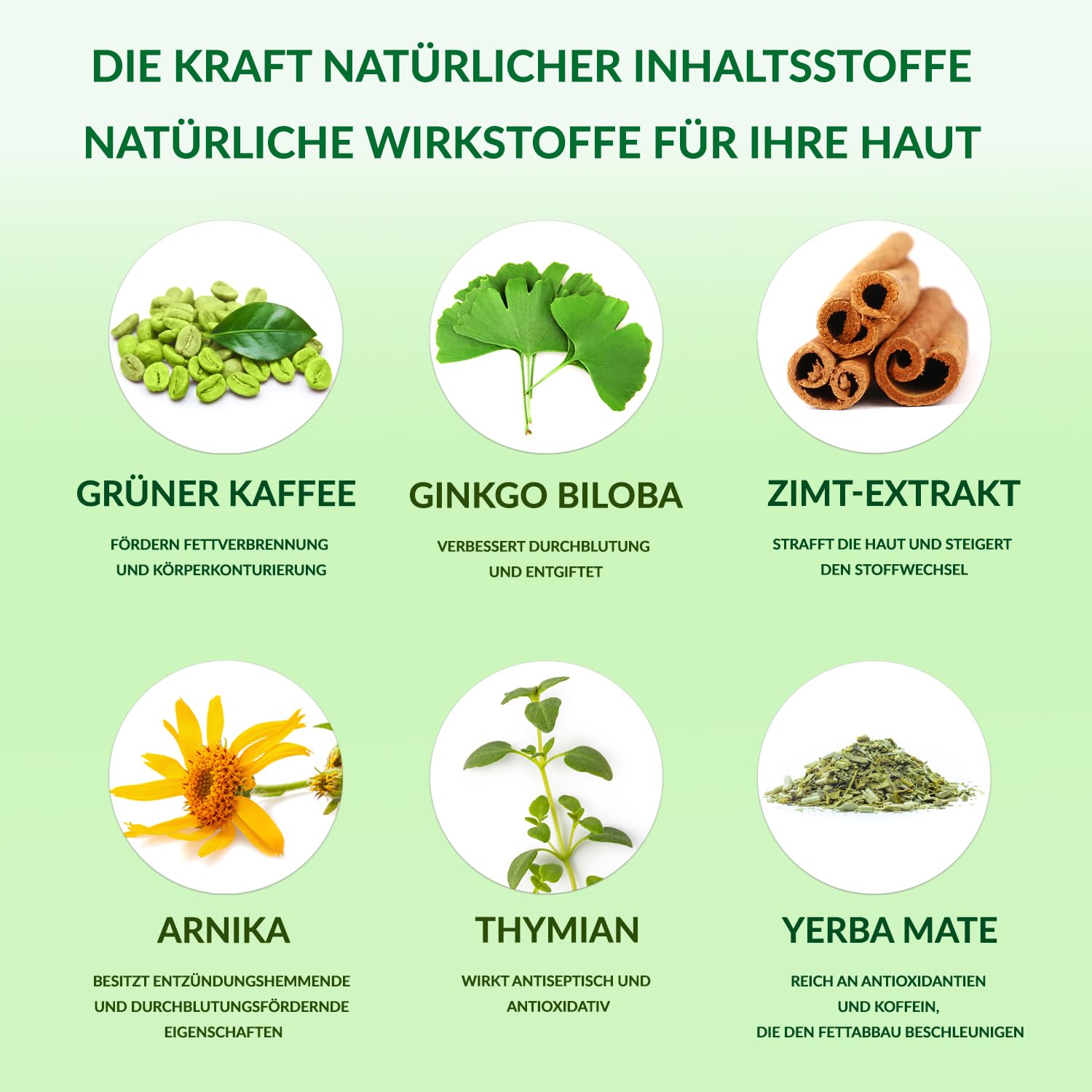 UB Professional Body Contouring Gel 500ml | Hautstraffende Formel & Leitfähigkeit | Grüner Kaffee & Yerba Mate | Kontaktgel für Kosmetischen Ultraschall, Radiofrequenz RF & Kavitationsanwendungen