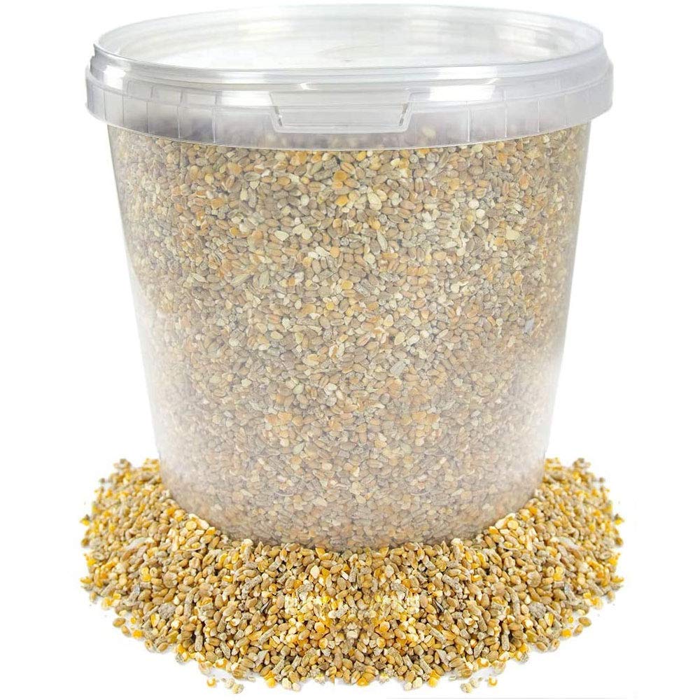 BusyBeaks Chicken Corn Extra | Premium Grade Poultry Feed | Nutritious Oyster Shell, Layers Pellets, Fibre Wheat & Split Maize | High Energy, Protein-Rich Food Mix | Perfect Year-Round Seed (1L Tub)