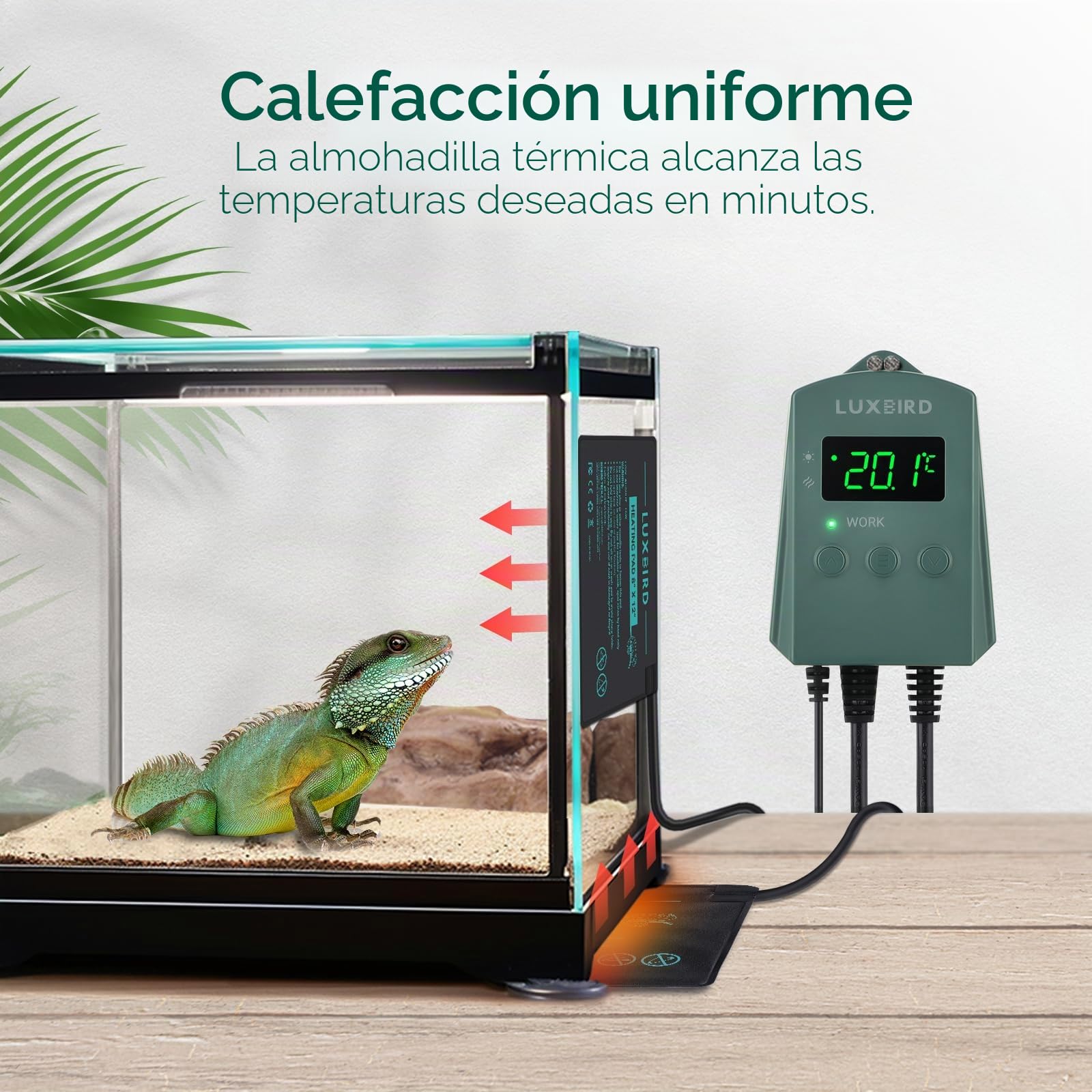 Luxbird Almohadilla Térmica para Reptiles con regulador termostático, Tapetes Térmicos para Terrarios con Temperatura Ajustable para Tortuga Serpientes Lagartos Geckos Arañas, 20x30CM