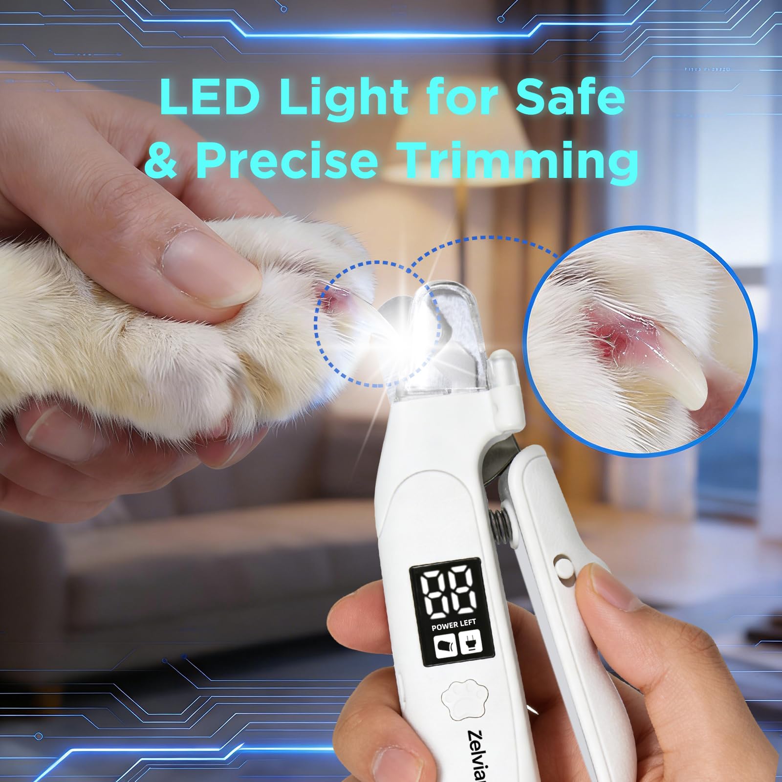 Coupe-ongles et broyeur 2 en 1 pour chat et chien avec lumière LED, coupe-griffes à faible bruit pour chiens et chats de grande, moyenne et petite, outil de toilettage rechargeable par USB avec