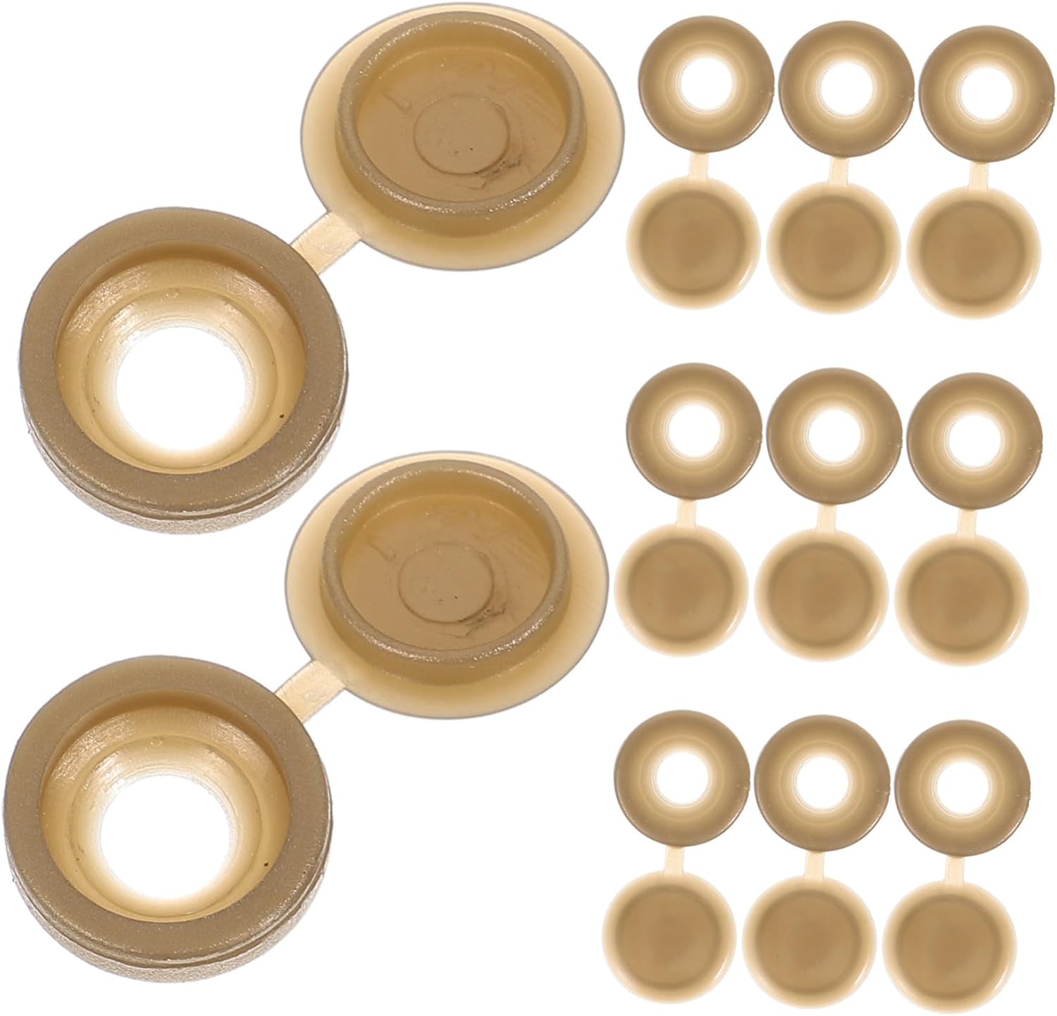 100pc Mocha Clamshell Screw Pe