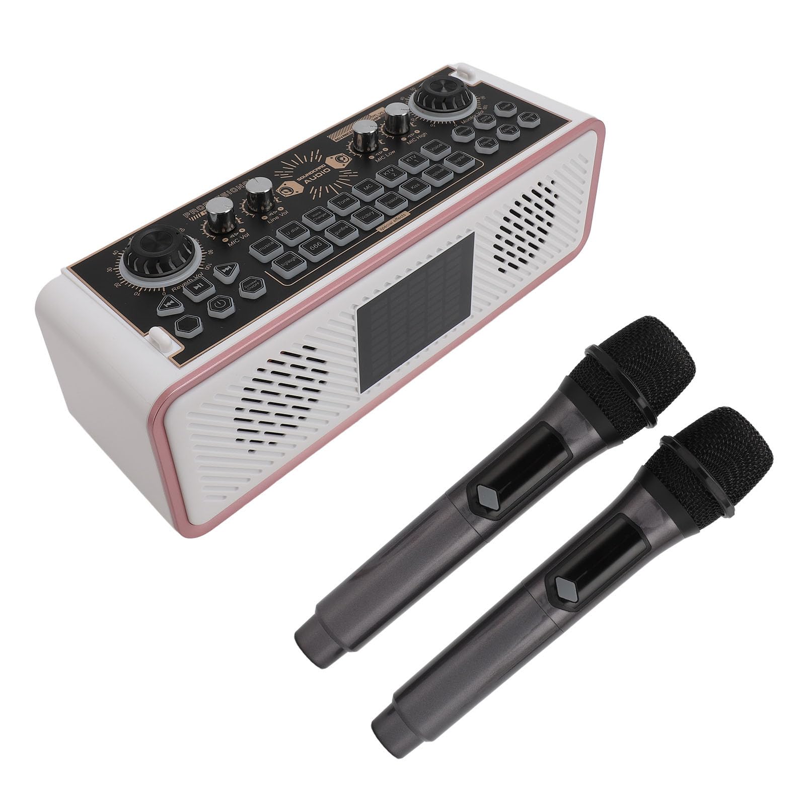 Kit Scheda Audio, Set di Altoparlanti per Microfono Wireless con Doppio Microfono per Telefono