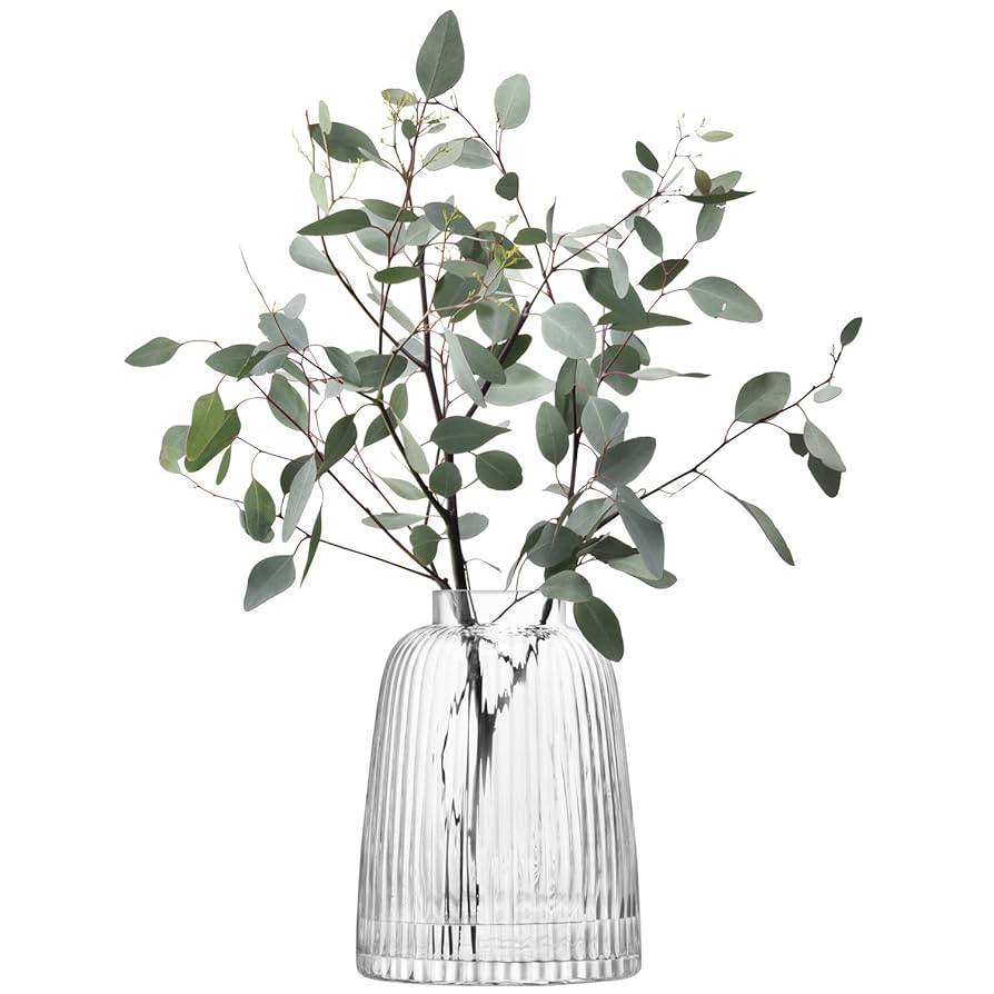 Amazon.co.jp: LSA(エルエスエー) フラワーベース(花器) クリア