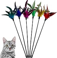 CATENESS 6-Piece Interactive Cat Feather Wand Toy Set - Feather Stick Toys for Indoor Cats Exercise & Bonding