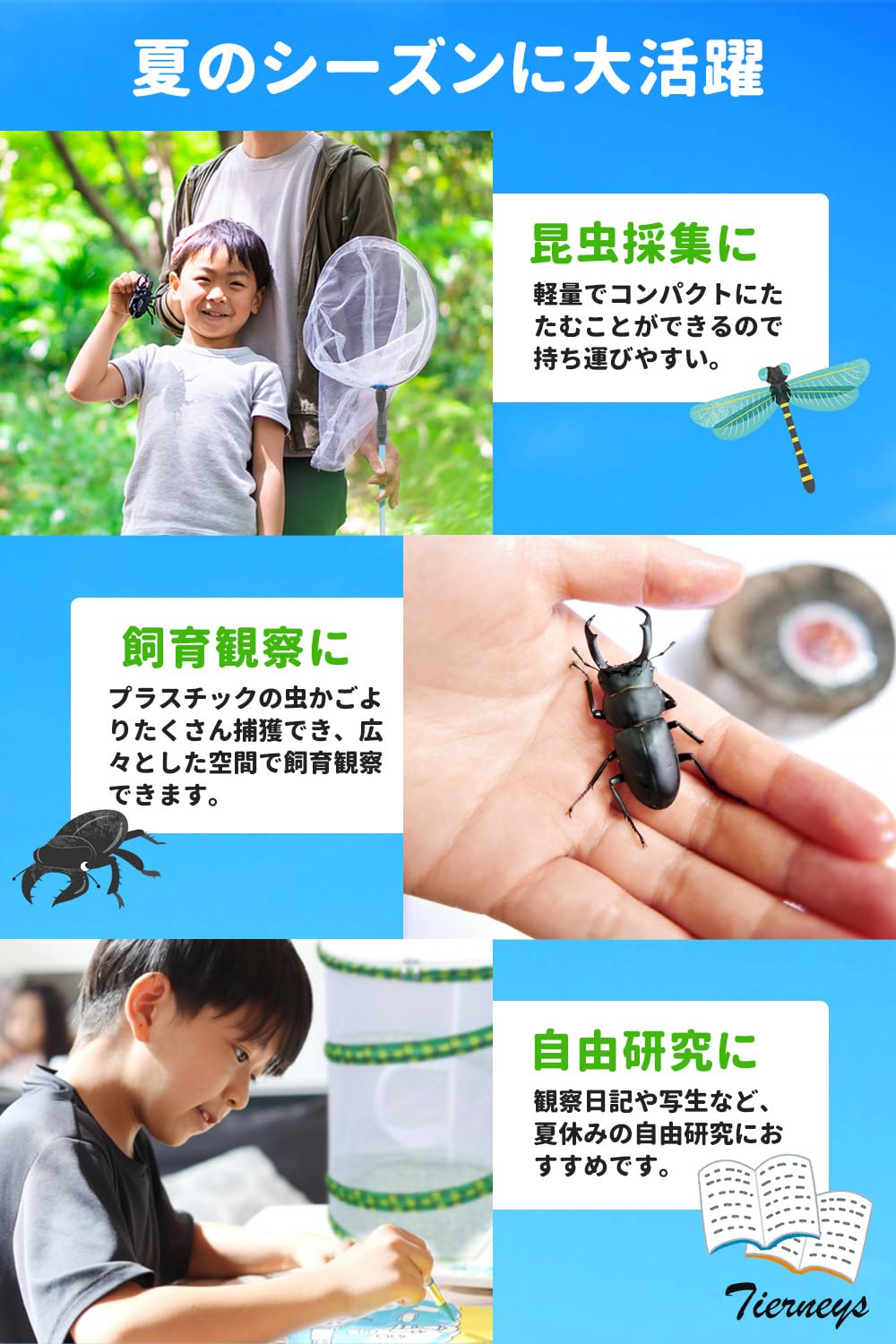 Amazon.co.jp: Tierneys [ティアニーズ］昆虫ケージ 飼育ケース 虫かご