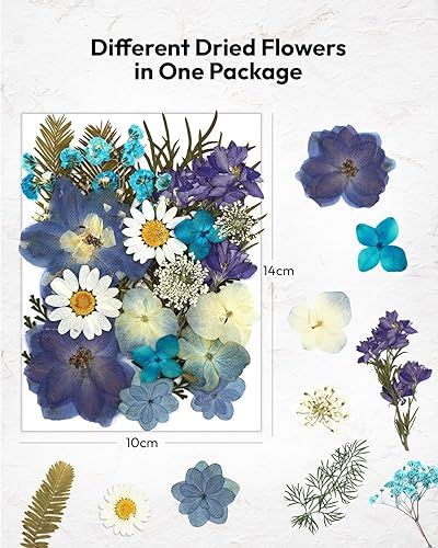 Vista 135 de Resiners - Flores secas, 100 piezas de flores prensadas para manualidades, color amarillo, flores secas naturales, kit de hojas secas