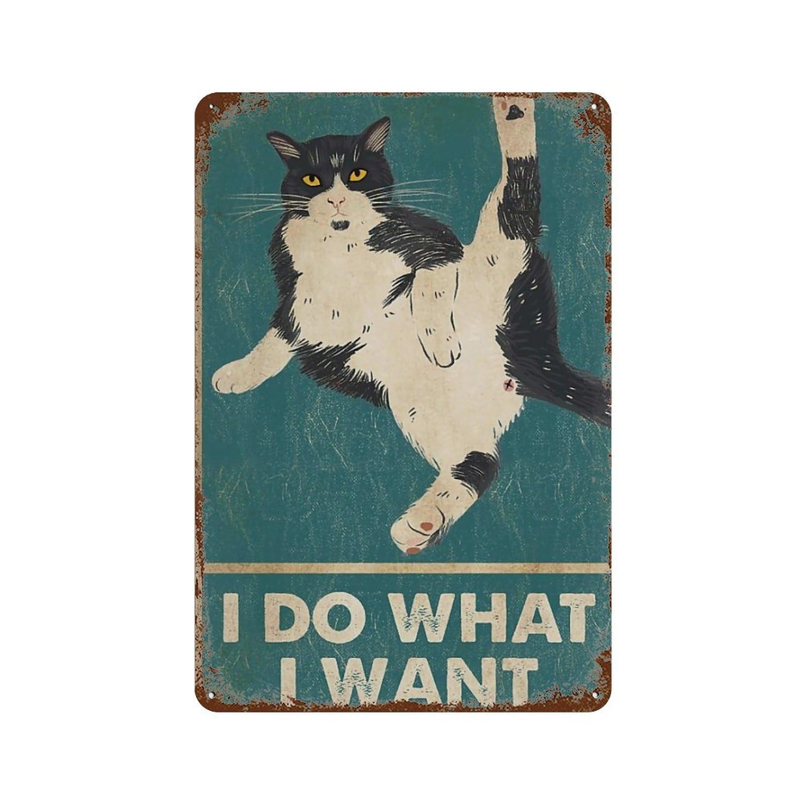 YHGERTKU Funny Retro Cat 4 Wall Art Retro Iron Vintage Metal Tin Sign Poster Modern Decor for Living Rooms Gift 30x20cm