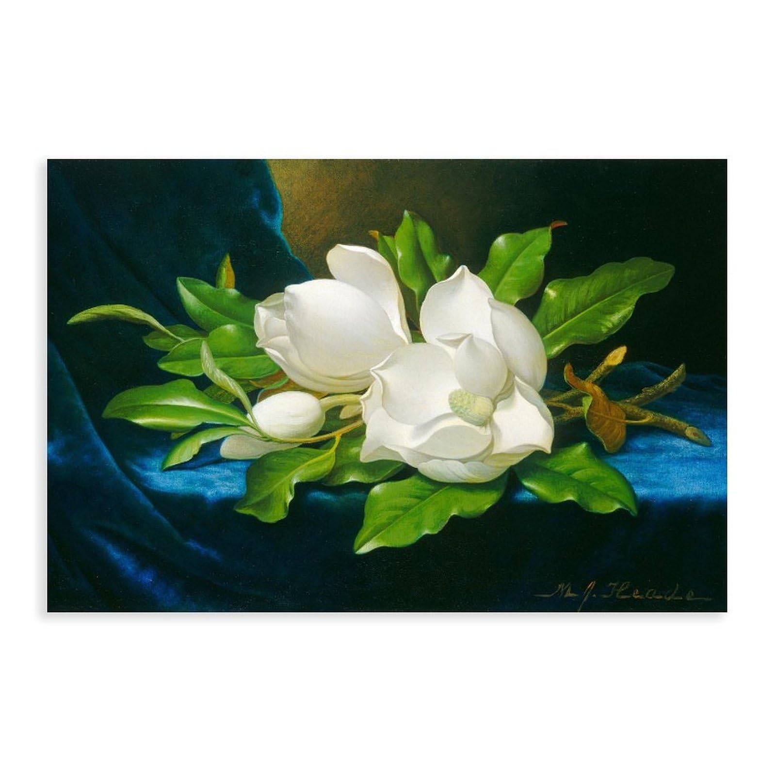 DFJyjFGJJ Martin Johnson Heade,Giant Magnolias on A Blue Velvet Cloth Canvas Wall Art Print Poster For Home School Office Decor 20" L X 30" W