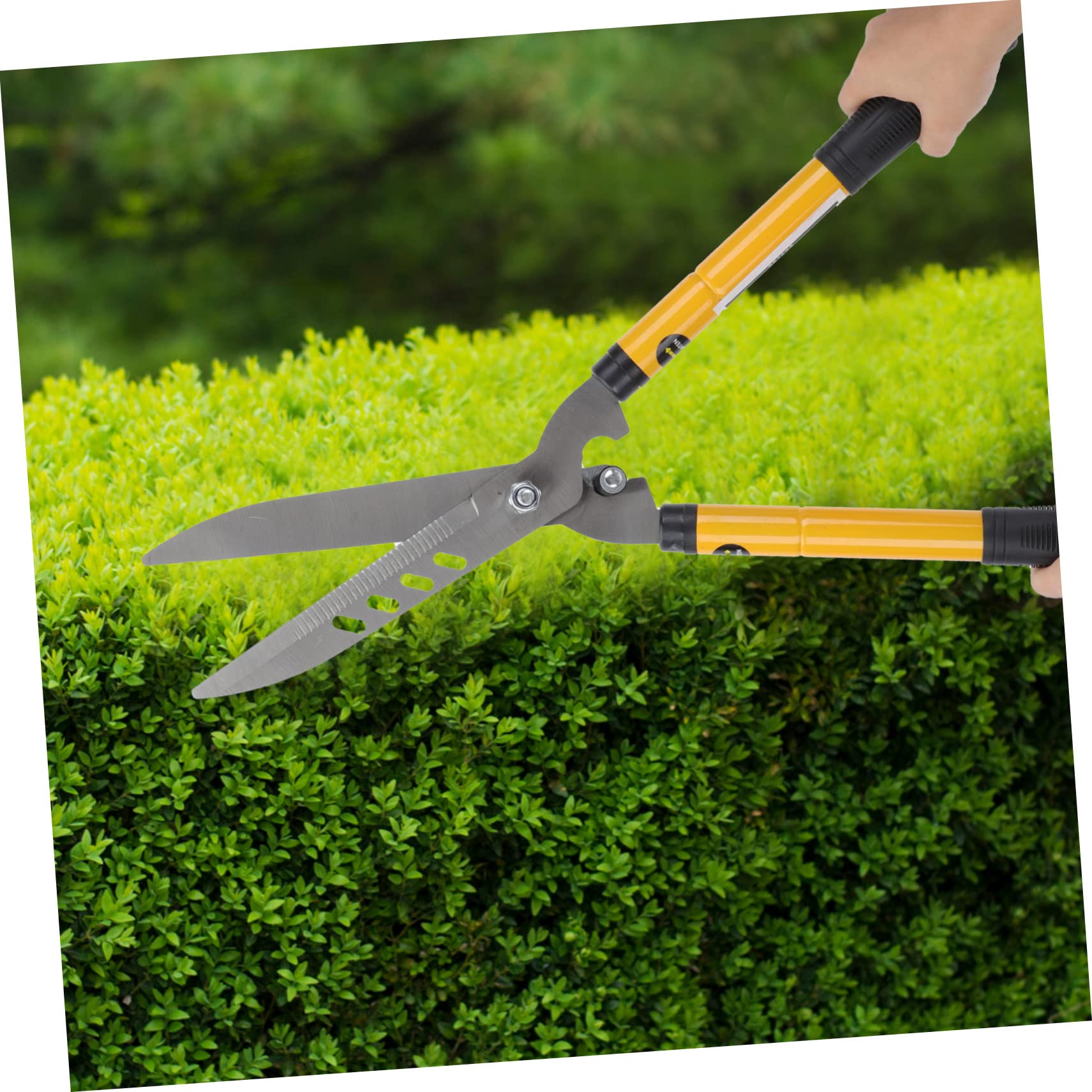 Happyyami Cisaille à Branches de Jardin Légère en Acier et Plastique Poignée Antidérapante, pour L'élagage des Petits Arbres et Vergers en Jardinage,