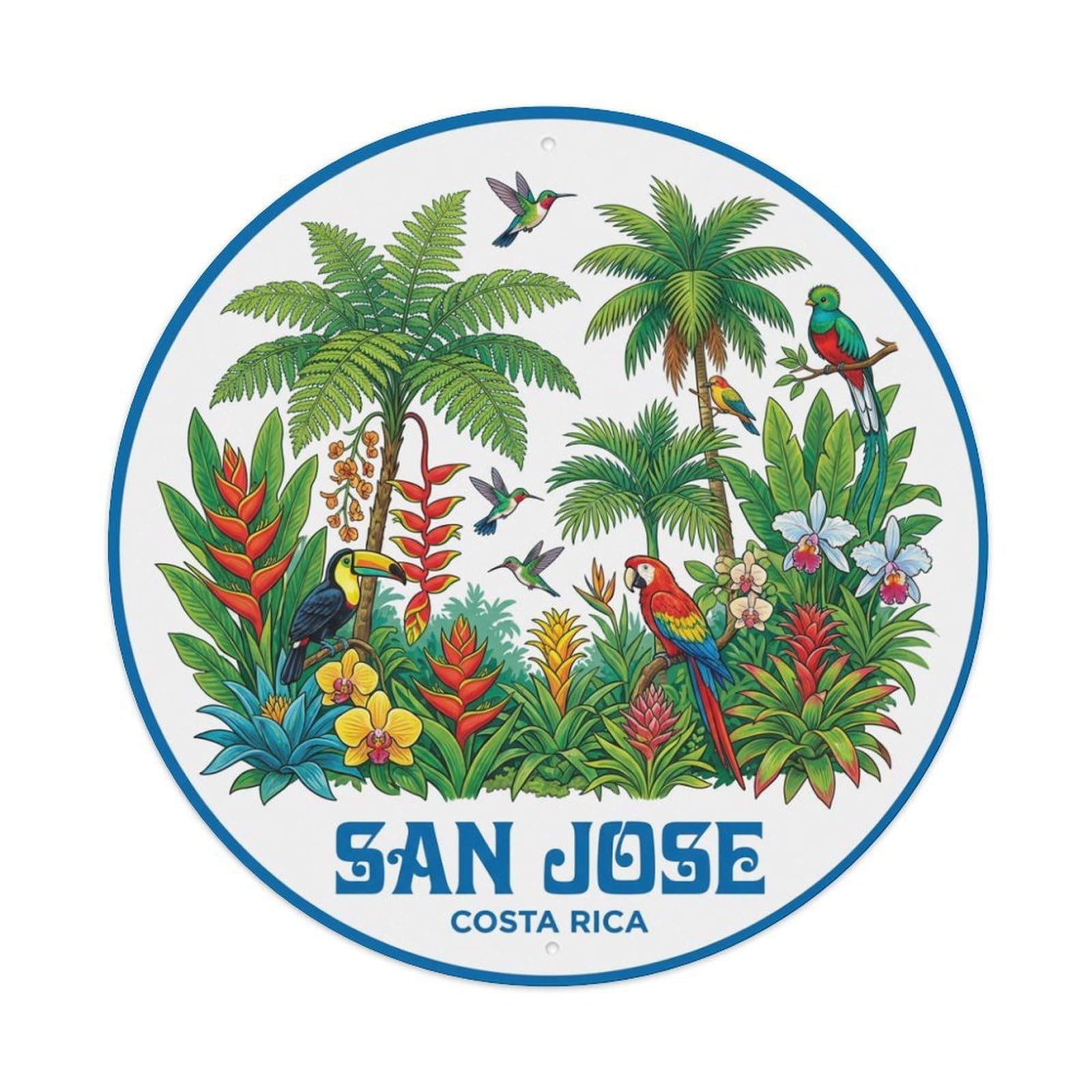 Vintage Travel Costa Rica San Jose Metal Tin Sign