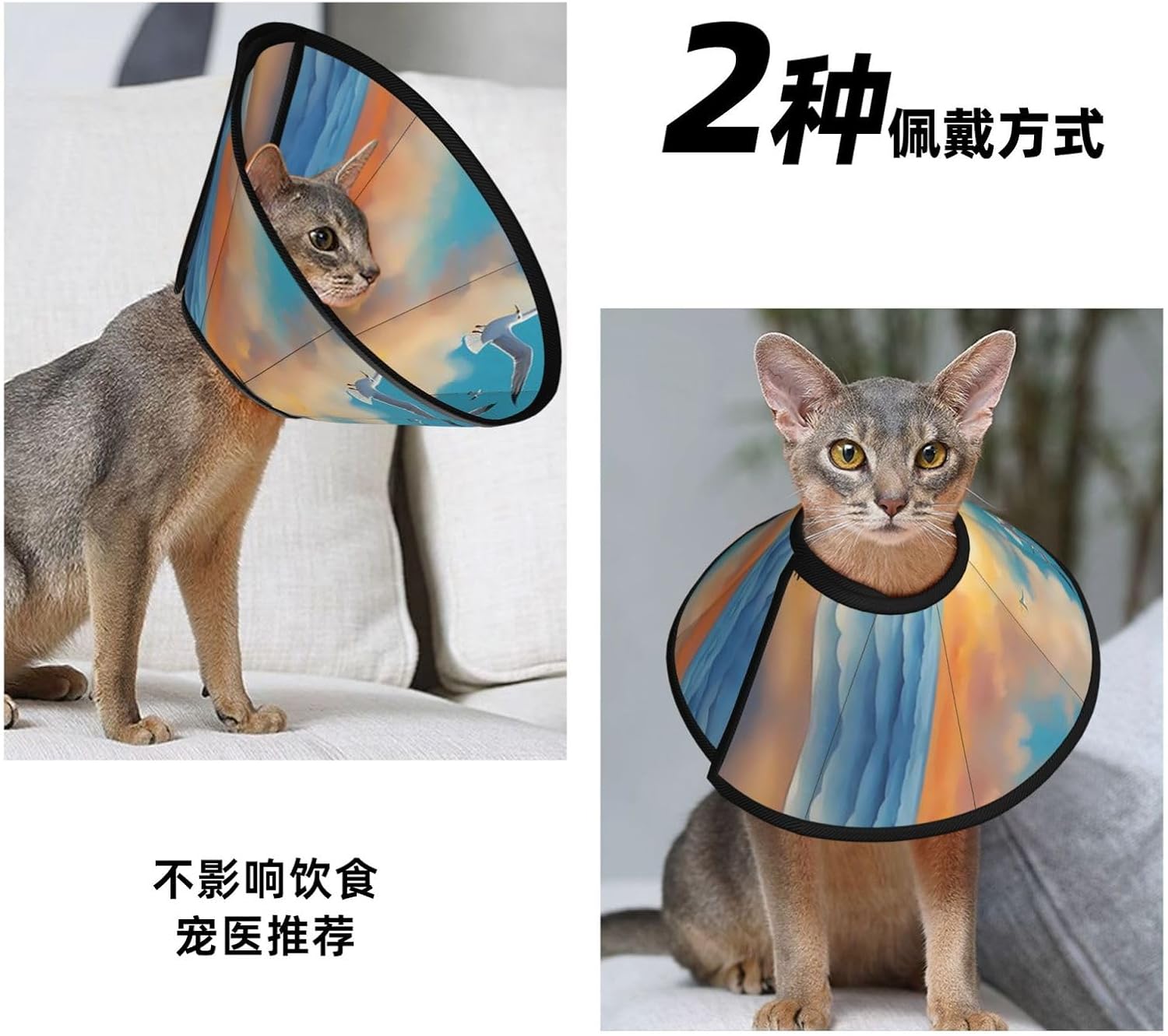 Custom Pet Cones - Unique Design Cat & Dog Cone, Collar for Post-Surgery Recovery, Adjustable Neck Seagullsgoldenhour Small