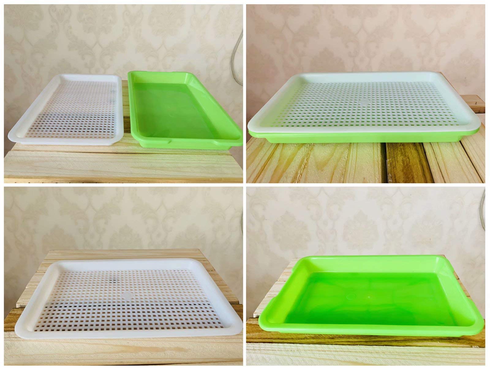 Lot de 10 plateaux de germination de graines - Kit de culture sans BPA - Plateau de germination de graines - Plateaux de culture pour micropousses avec papier de germination - Plateaux de