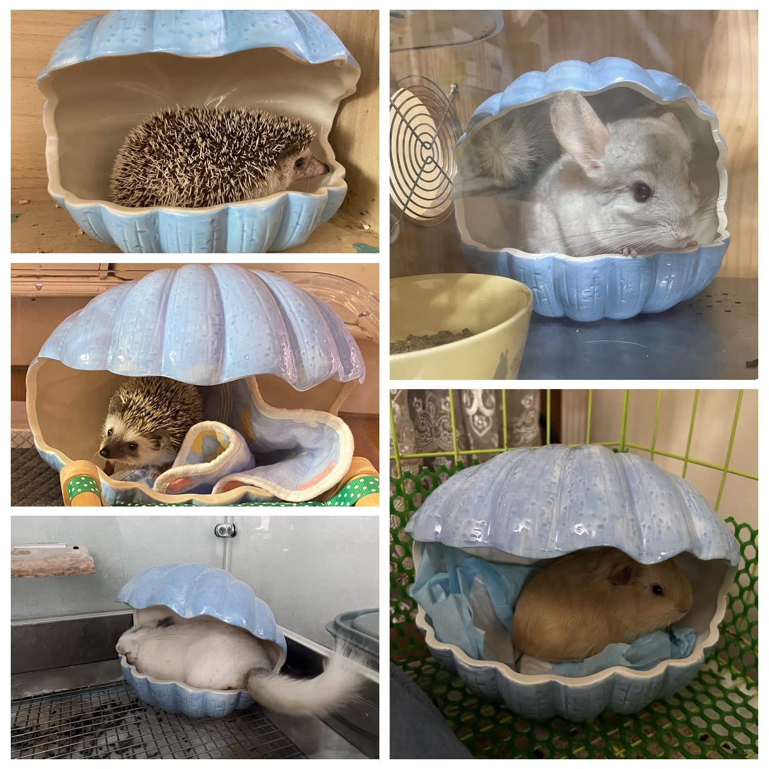 Kleintierversteck, extra groß, Keramikschalenform, Meerschweinchenhaus, Chinchilla, Iglu, Hütte, Sommerbett, Käfig, Zubehör für Igel, Kaninchen, Hamster, Ratten (XL (24.1x17.8x20.9 cm), blau)