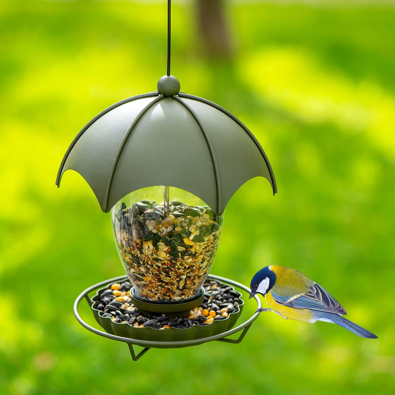 Birdream Bird Feeder Metal Bird Feeders for Outside Hanging with Parachute Shape Roof Glass Container to Attract More Wild Birds for Garden Yard Decoration : Patio, Lawn & Garden