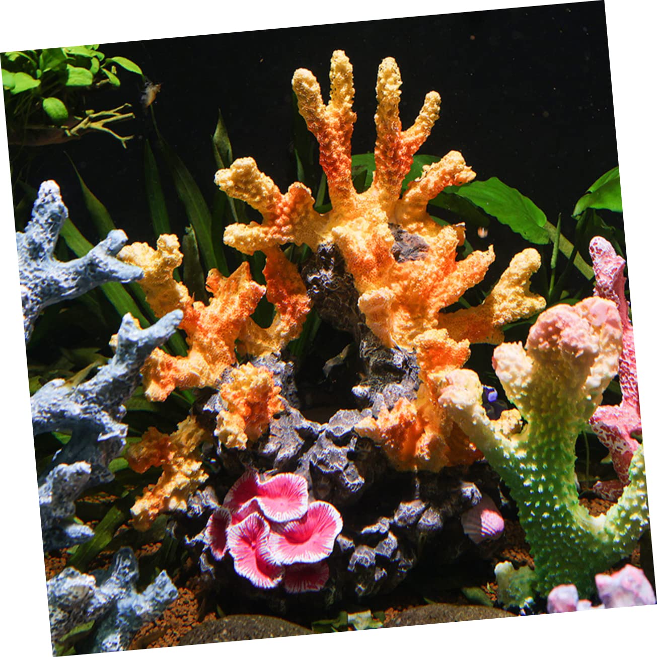 WOONEKY Ornement De Artificiel pour Aquarium Décoration De Réservoir Marin Décor Vibrant pour Poissons Et Paysage sous-Marin