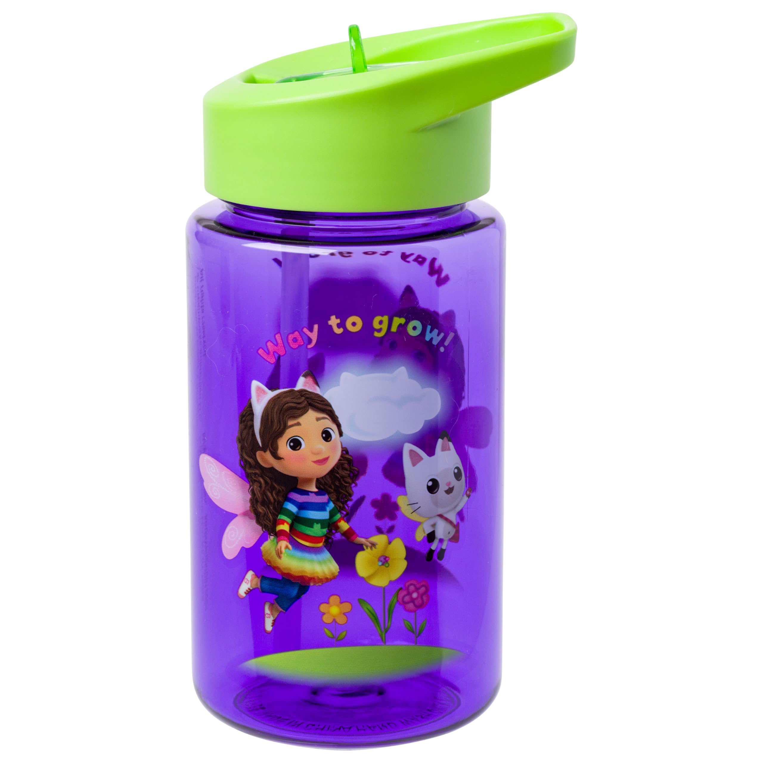Silver Buffalo Gabby's Dollhouse Gabby Show, Flip Straw Water Bottle, 16oz