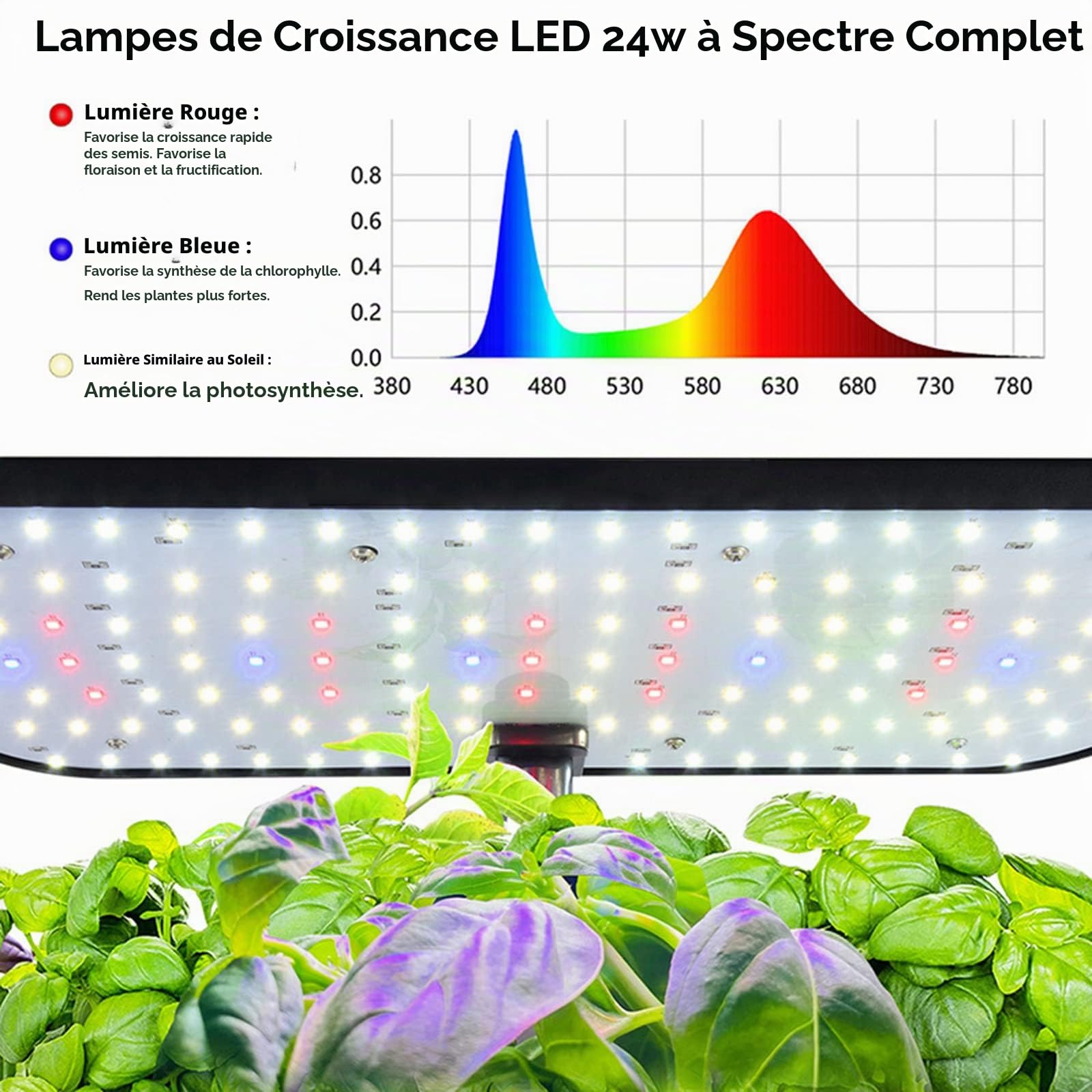 RoseFlower Système De Culture Hydroponique d'intérieur à 12 dosettes, Mini Serre Interieur avec Hauteur Réglable LED Grow Light, Potager Interieur, Station de Culture de Plantes - Noir