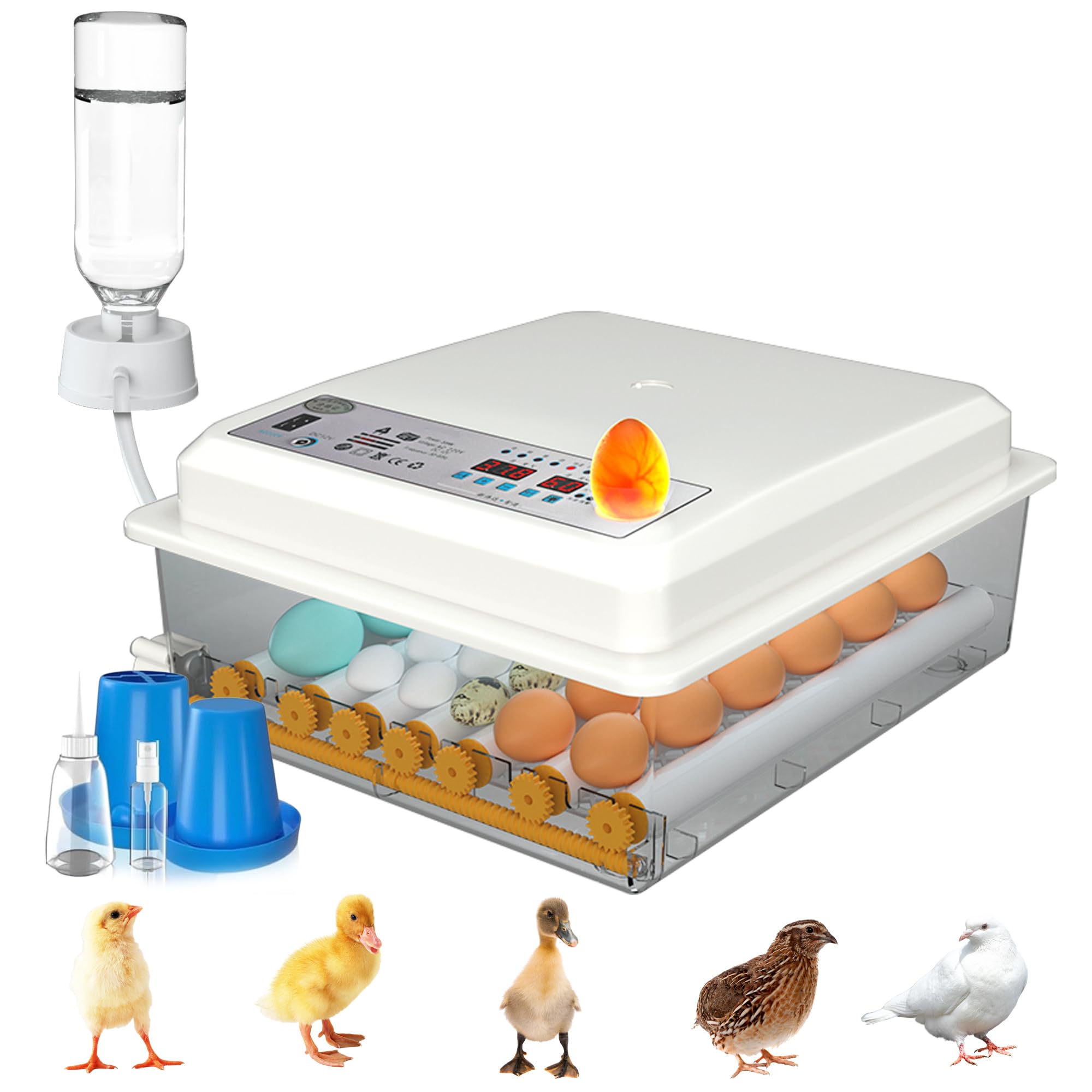 Incubateur d'Oeufs Automatique 24-36 Oeufs, Couveuse avec Contrôle de Température, Rouleaux Réglables, Ajout d'eau Automatique et Mire-Oeuf Intégré, Blanc