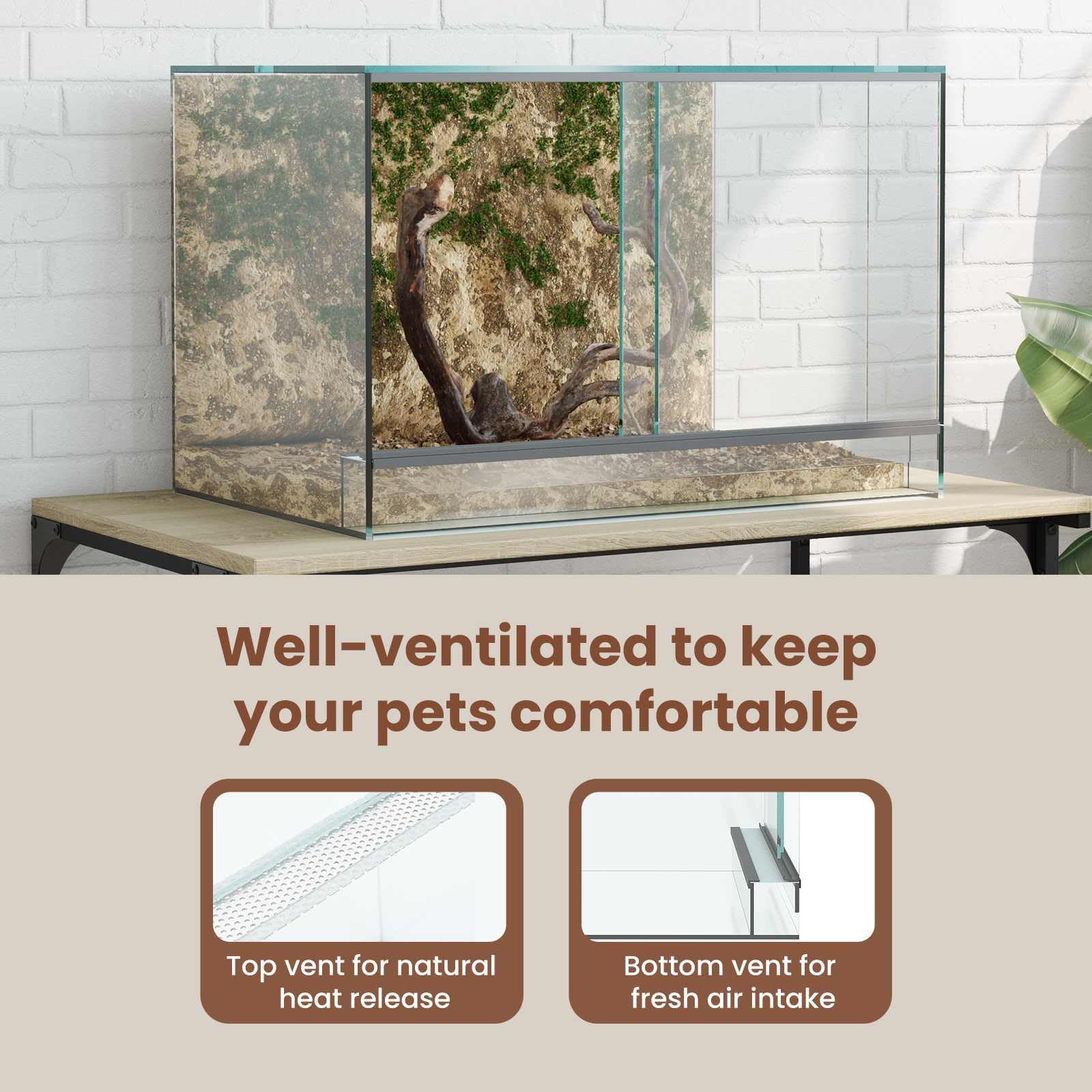 vidaXL Terrario Transparente 60 x 40 x 40 cm Cristal, Terrario de Vidrio Moderno, Refugio Resistente, hábitat 360°, hogar Transparente para Animales