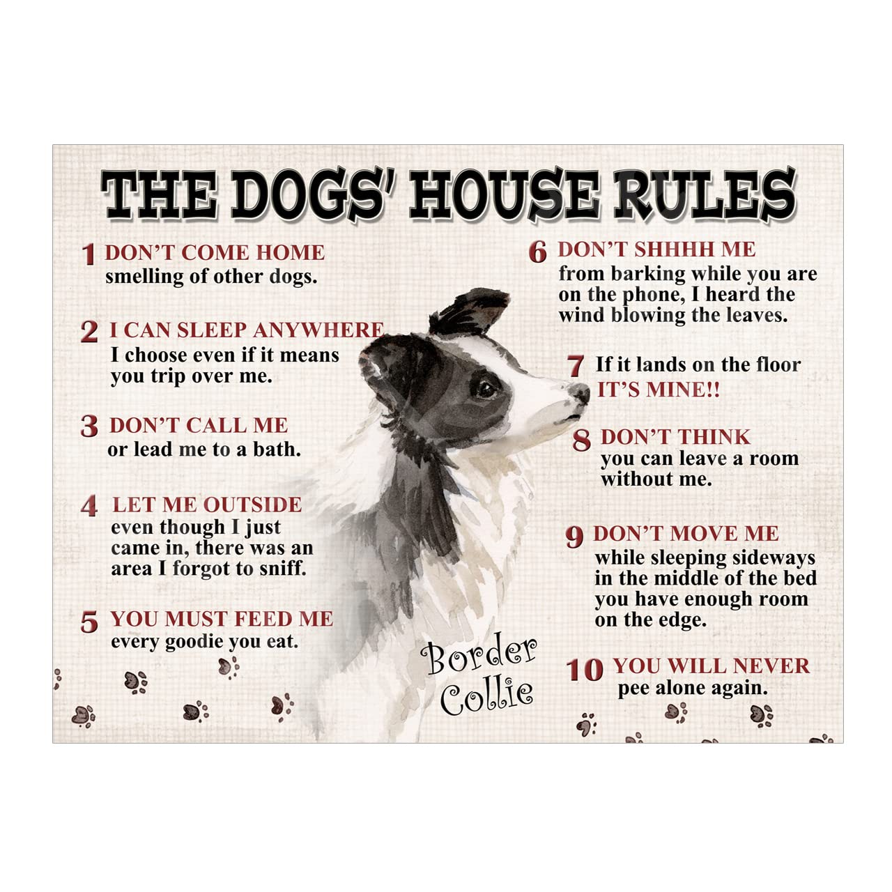 The Dog's House Rules Border Collie Metal Tin Sign Plaque Poster size 10x8in ref8531