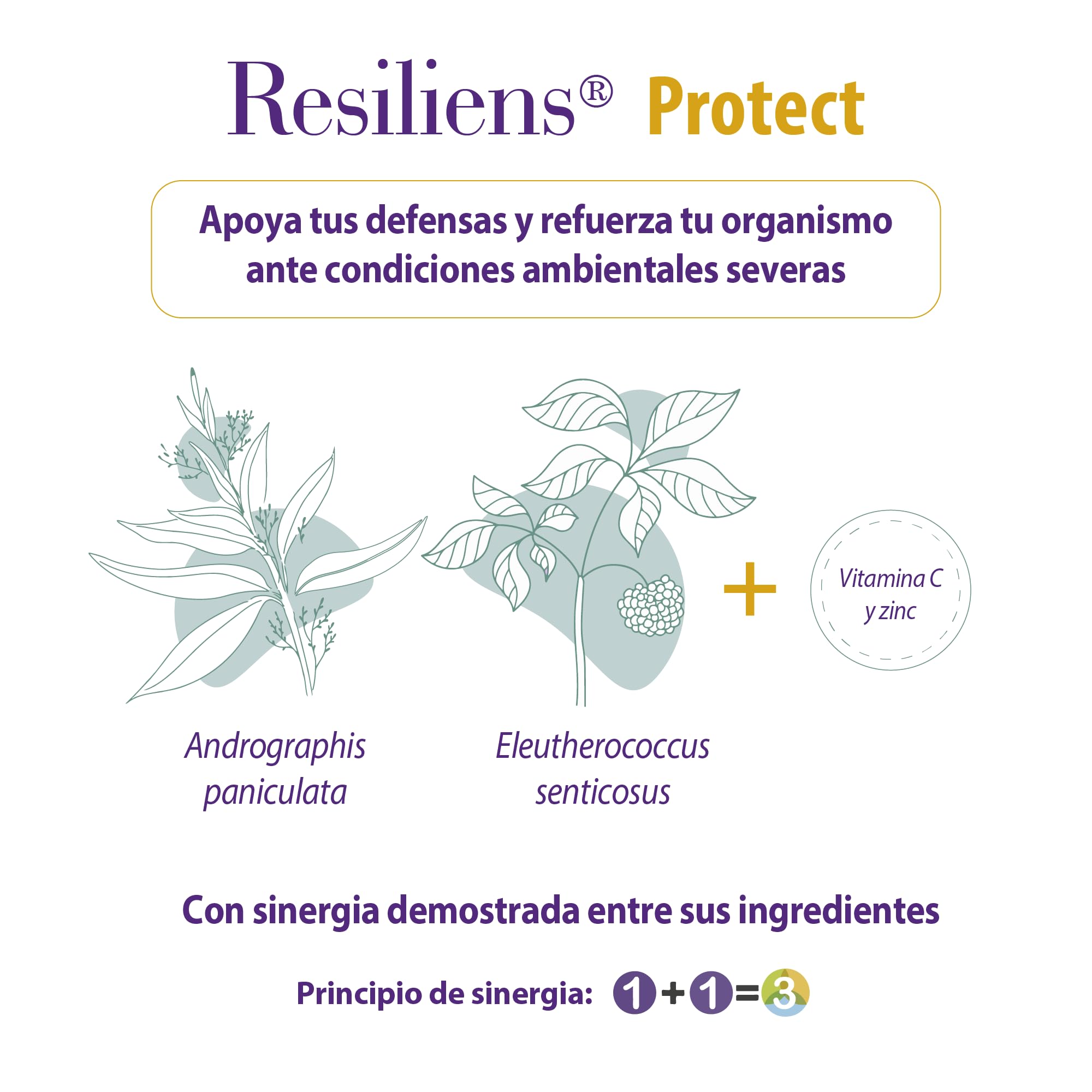 Resiliens Protect® - Kan Jang® Plus - Extractos de Andrographis y Eleuterococo - Refuerza Defensas Naturales - Alivio Respiratorio - Con Vitamina C y Zinc - 60 Cápsulas - 100% Natural