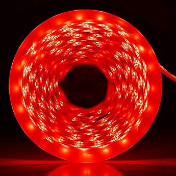 12 V LED Strip Red 5 m LED Strip Dimmable SMD2835 IP65 Waterproof 300 LEDs cuttable self-adhesive hose strip for indoor room kitchen bar TV backlight Valentines Day outdoor decoration