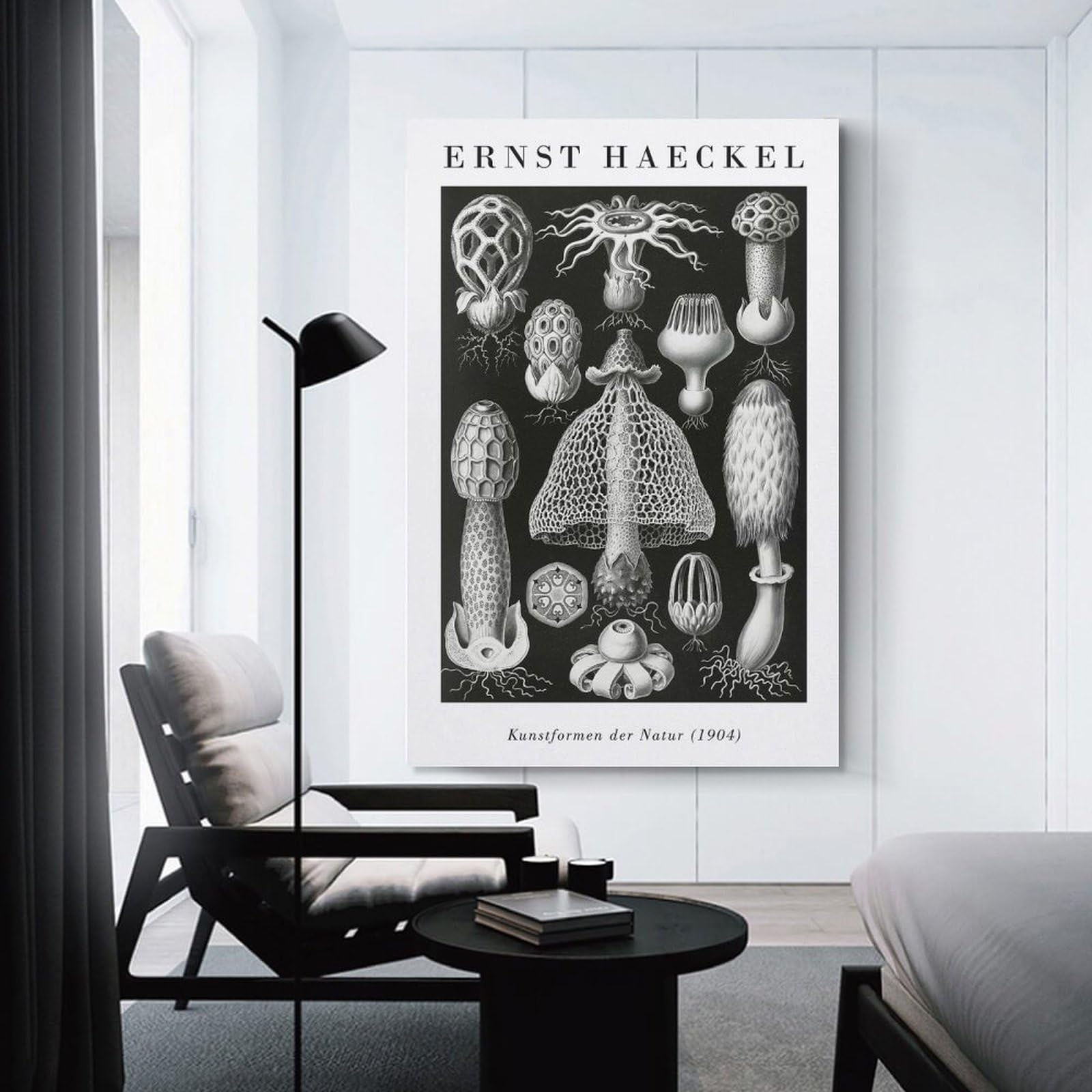 Junmoney Ernst Haeckels Nature Forms Canvas Wall Decor, 16x24inch(40x60cm), for Gallery Wall Decor And Room Displays, Wall Decor Suited to Curated Displays