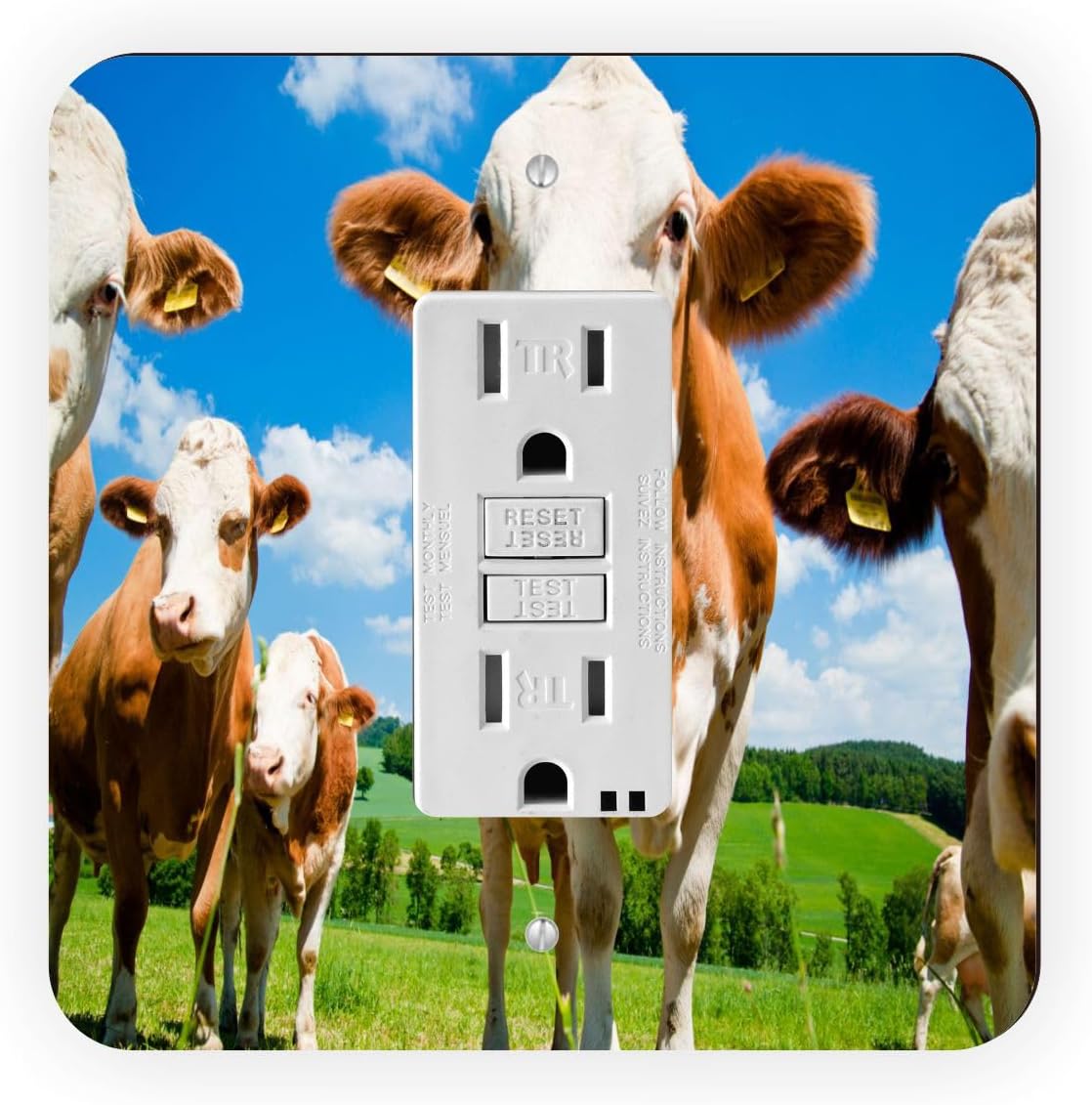 Cows In Field - Double Rocker Light Switch Cover - Double Rocker Switch Plate
