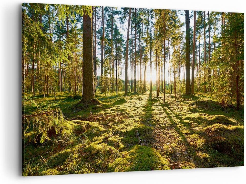 ARTTOR Leinwandbild 120x80cm Wandbilder Landschaften Wald - 3724 Baum Natur Gro  XXL Deko Dekoration Wohnzimmer Schlafzimmer K che Wanddeko Wand Kunstdruck Art Wall Decor Canvas