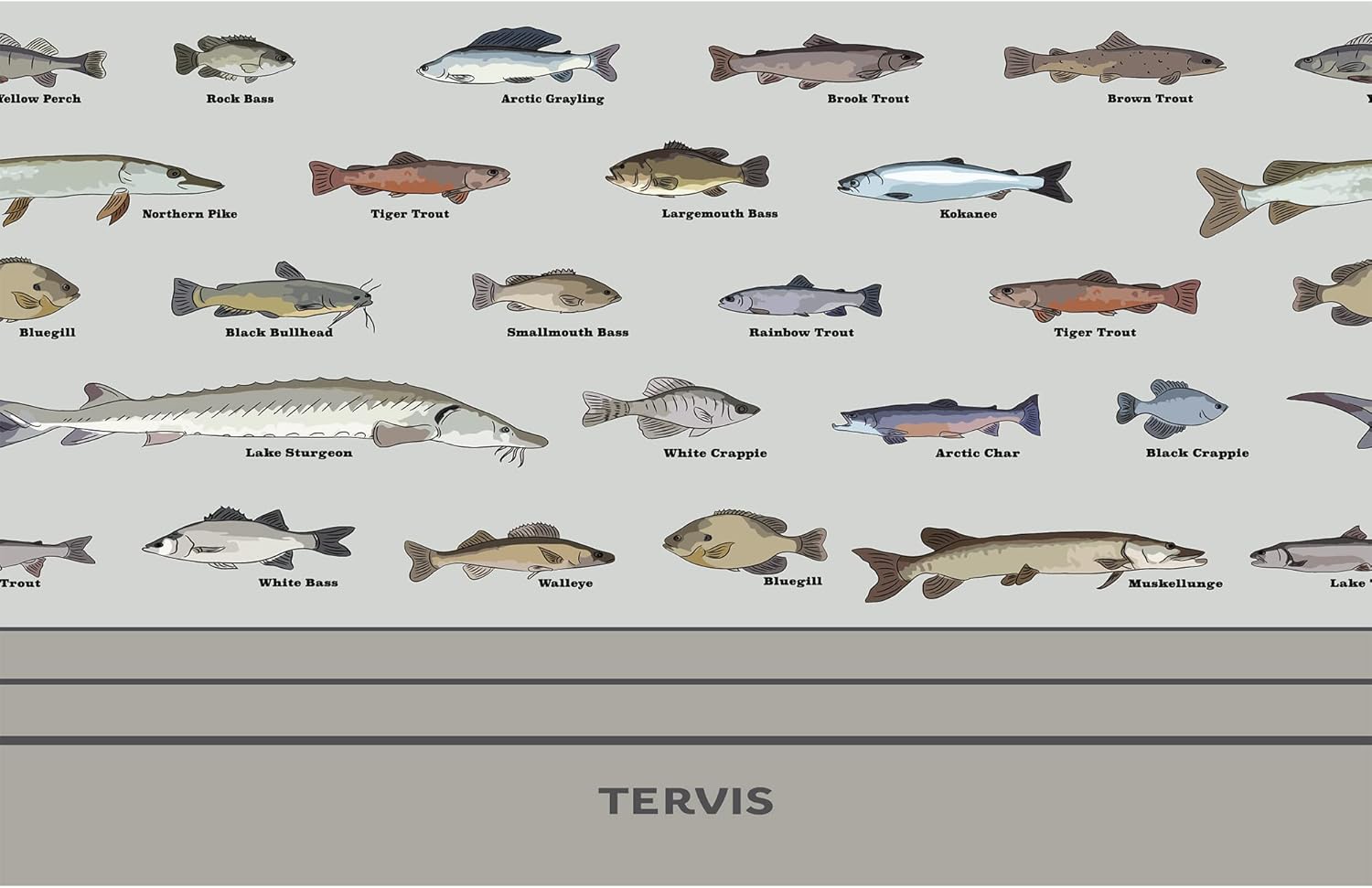 Tervis Traveler Here Fishy Fishy Goldfish Triple Insulated Tumbler Travel Cup Keeps Drinks Cold & Hot, 30oz, Stainless Steel - Image 2