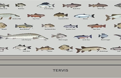 Miniatura 2 de Tervis Fishy Goldfish - Vaso aislado de triple pared, 30 onzas, acero inoxidable