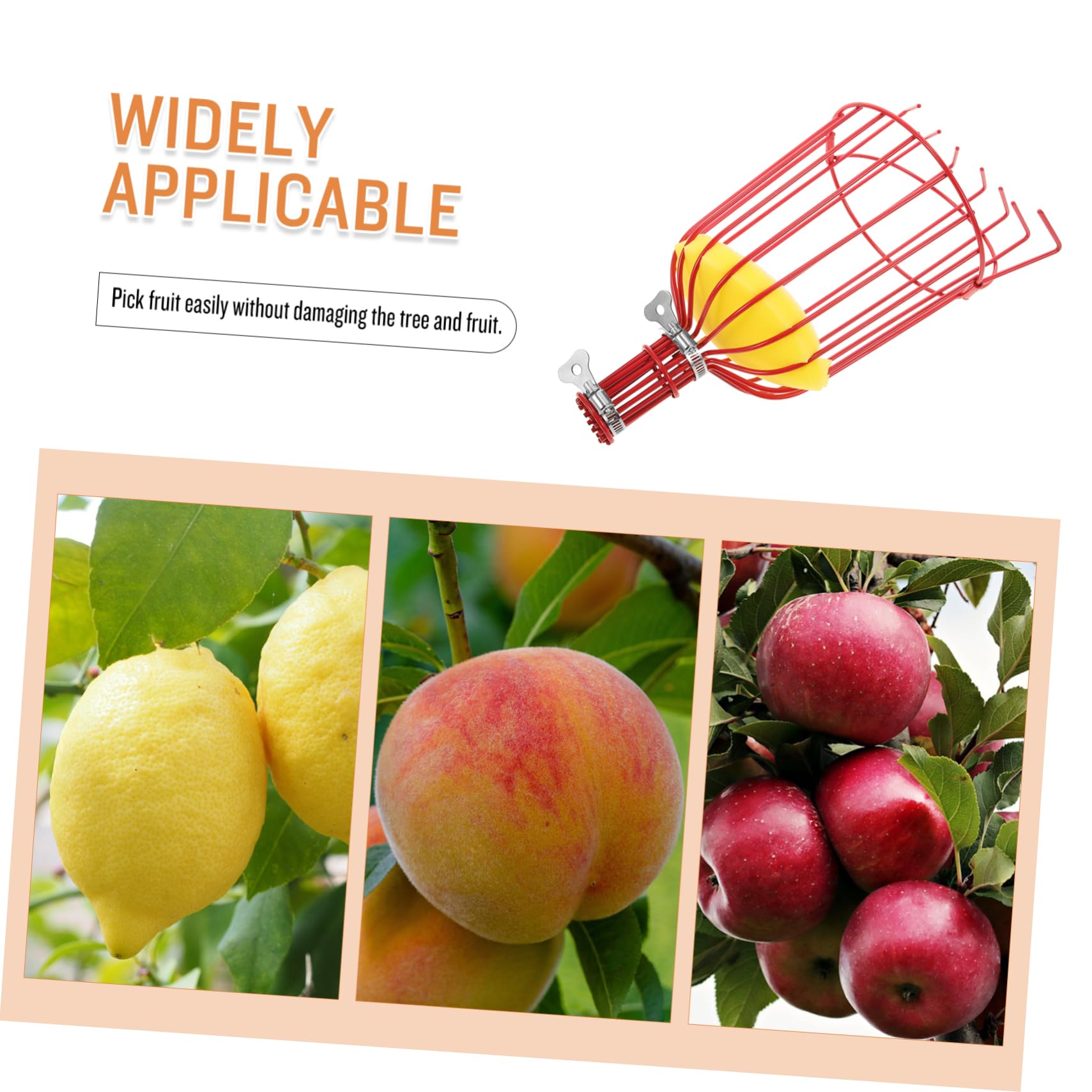 Aste E Strumenti Raccoglifrutta Professionali Raccoglitori Di Frutta Per Mele E Dispositivi Di Raccolta Frustrua Senza Scale Realizzati in Materiale Resistente E Duraturo
