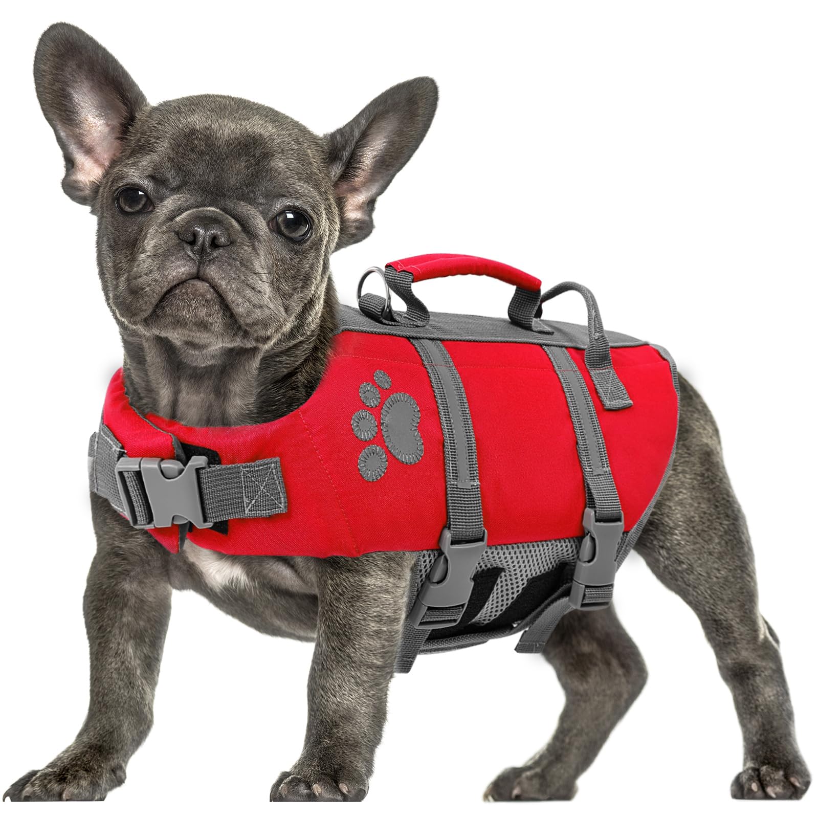 Queenmore Dog Swimming Vest X-Large, Reflective, Lightweight, with Rescue Handle Safety Vest For Dachshund Sausage Dog,Corgi,French Bulldog,Pug,Pitbull（Red, XL） — image 1
